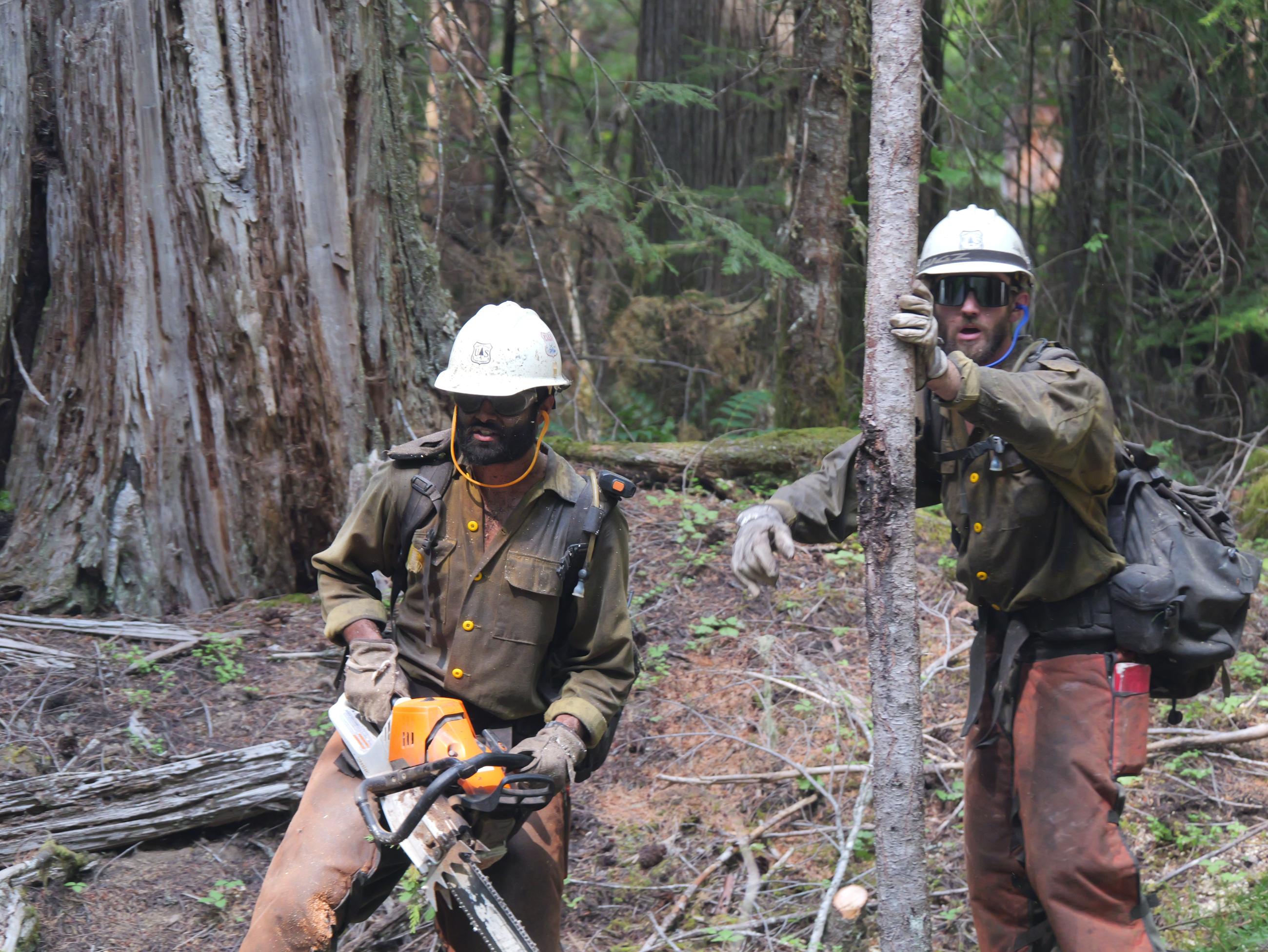 Pike Hot Shots on the 208 Fire // Willamette South