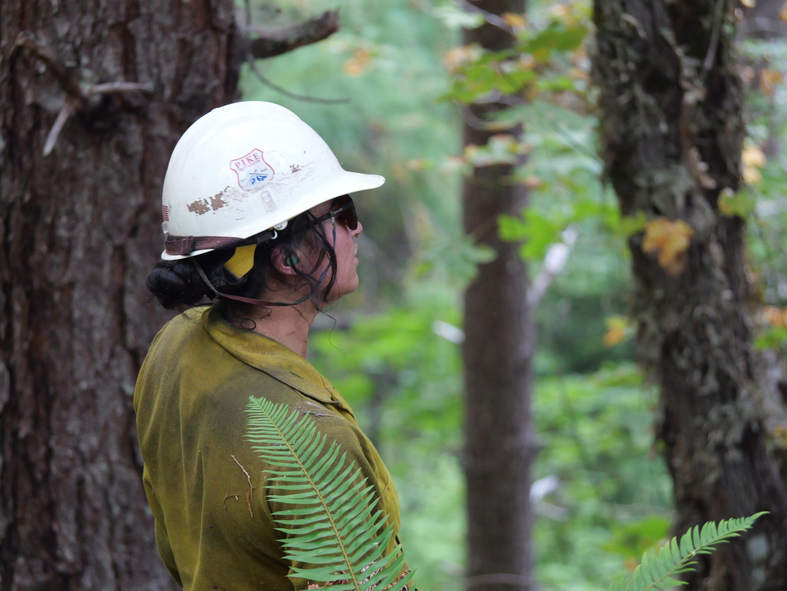 Fire Crews are Making Progress on Willamette Complex South & Red Fire