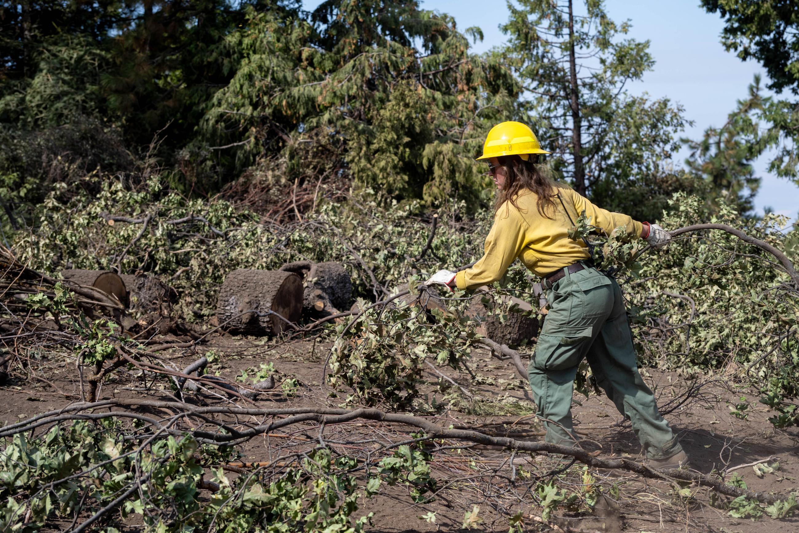 person wearing yellow and green fire clothes on a hillside holding a tree branch.