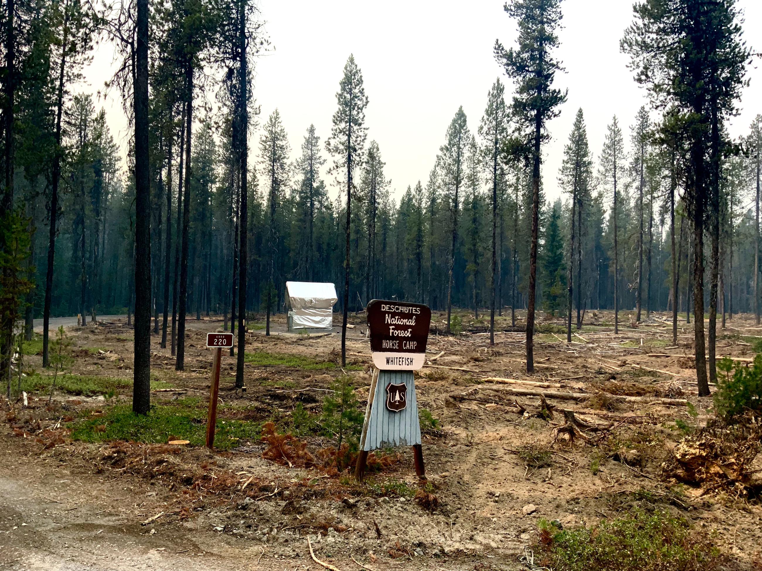 Red Fire Shaded Fuel Break on Sept 9th 2024 // PIO Andy Lyon