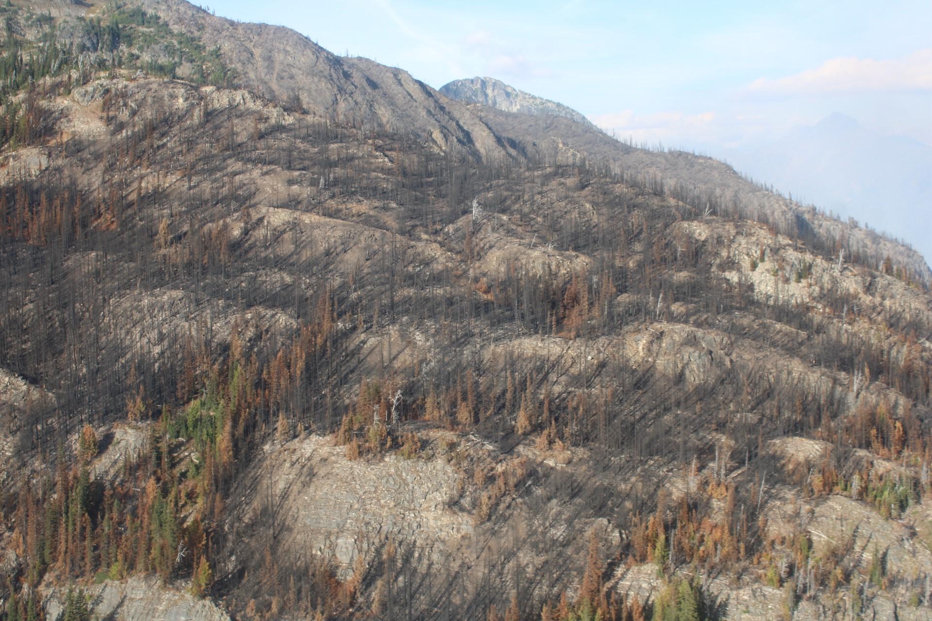 Helicopter view of mosaic burn on Ruby Fire