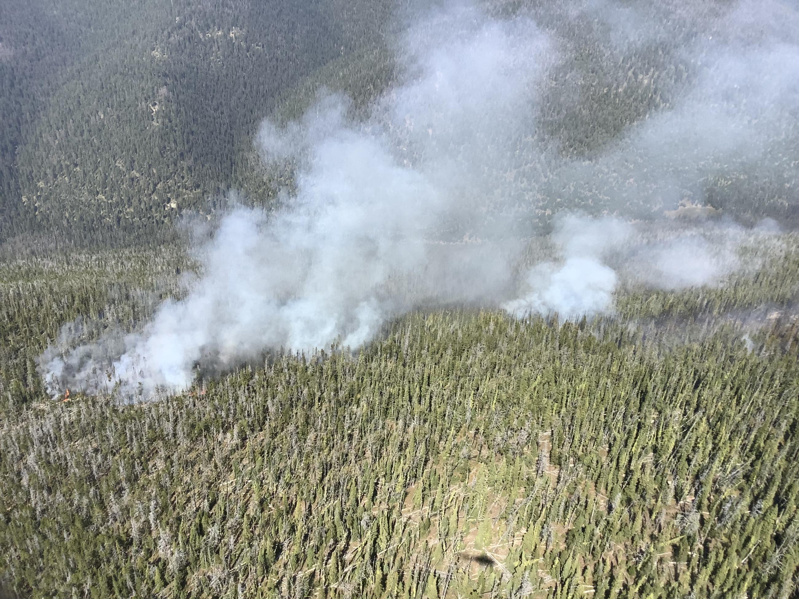 photo of the Marsh Creek Fire taken from a helicopter on Sept. 1, 2024 showing the fire advancing west and the continuous fuels that make it dangerous for fire personnel and the public to be in the vicinity of the fire