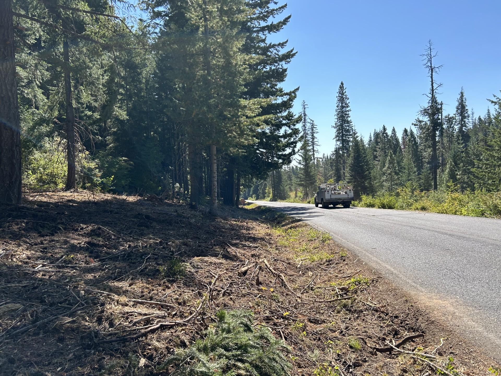 Shaded fuel break on FS Rd 23. Small trees and brush have been removed, larger trees are left standing.