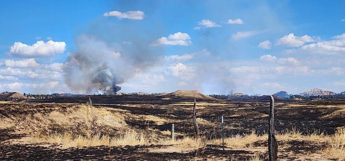 Plume of Short Draw Fire with burnt and fence posts