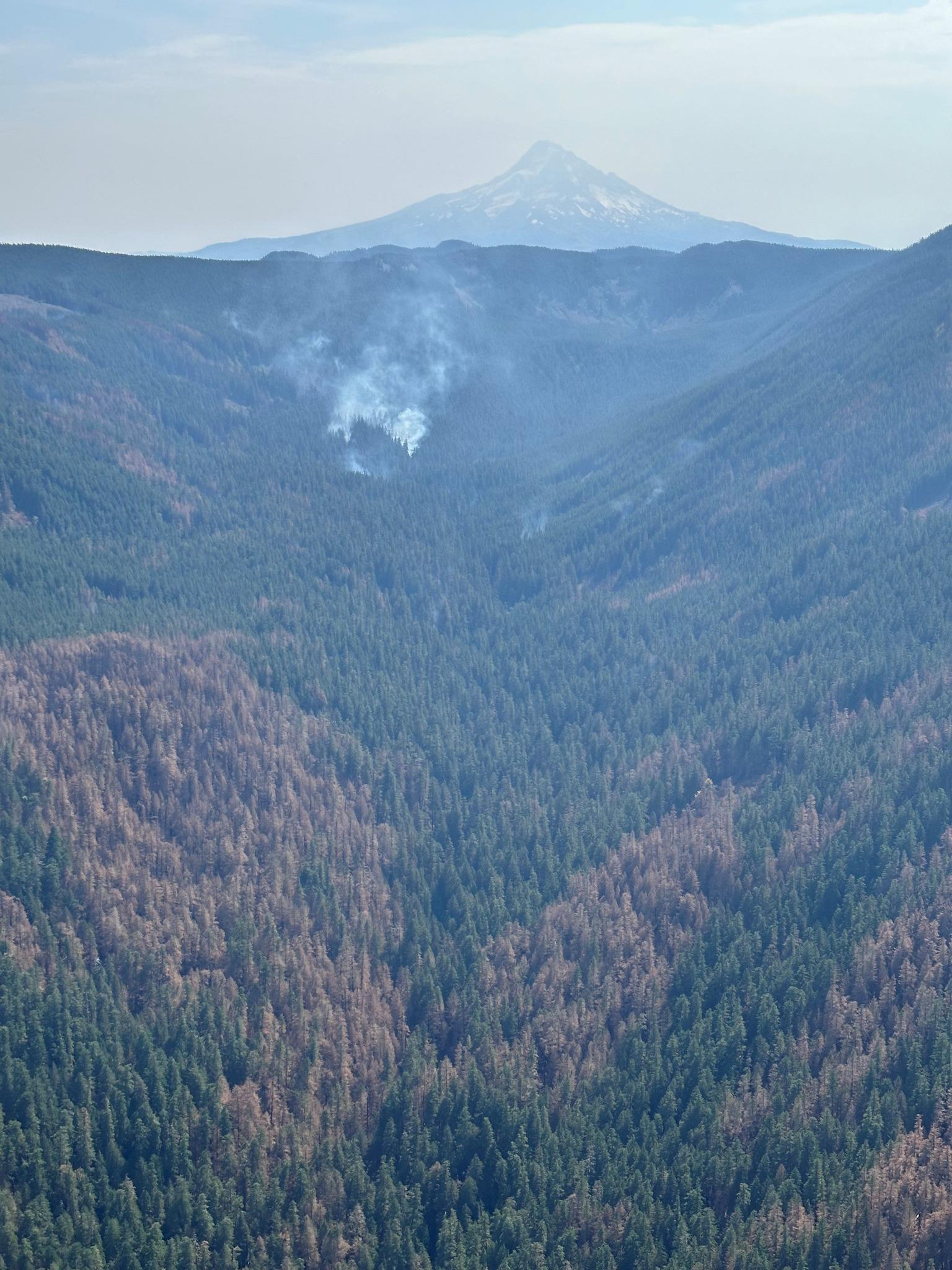 Smoldering Heat in the East Fork drainage of Herman Creek