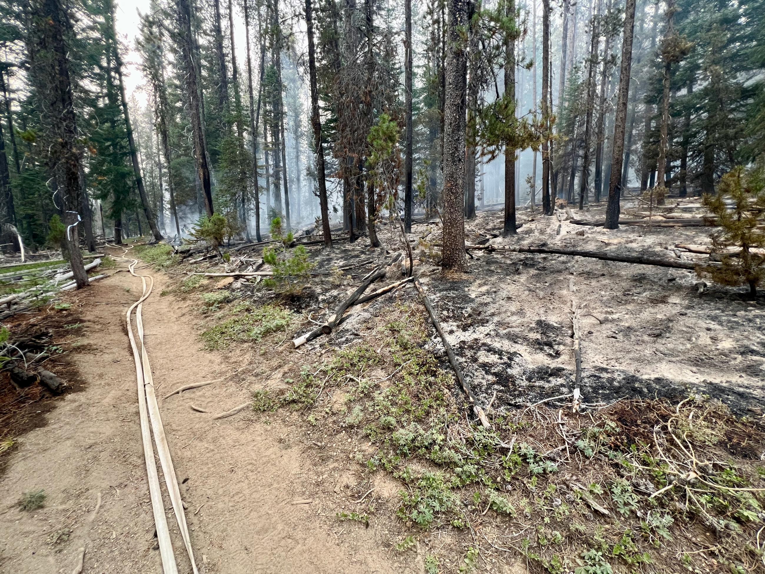 Fire hose stretches along a trail with remains of a fire to the right.