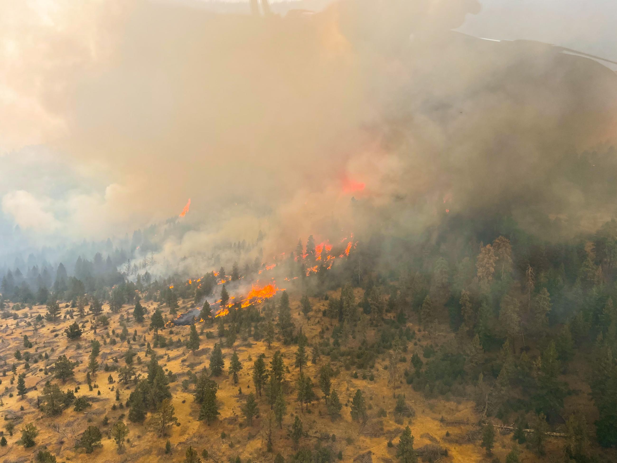 Fire running upslope on the Wiley Flats Fire. Taken on 09/07/2024