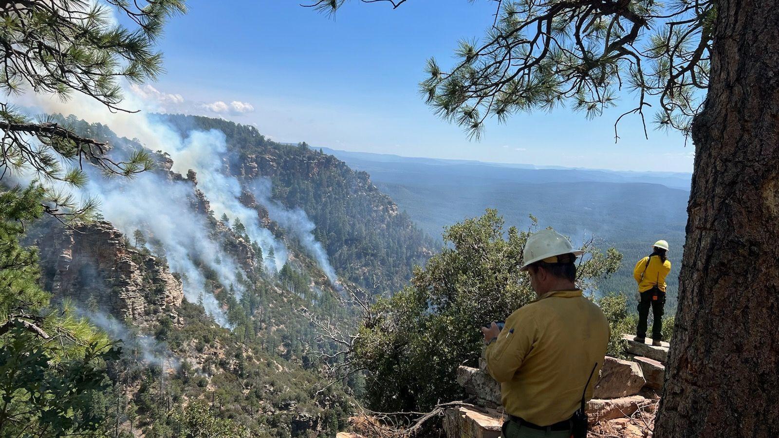 firefighter looks out at smoke over canyon and steep terrain