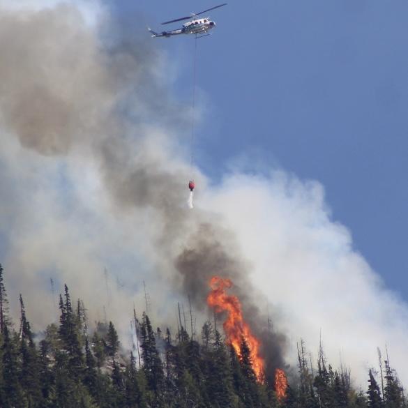 Helicopter dropping water on flaming trees, mountainside.