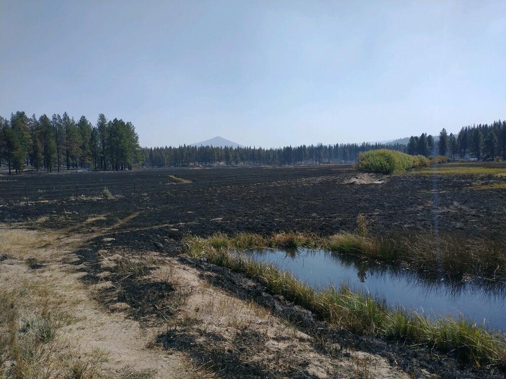 Burned area of Copperfield fire