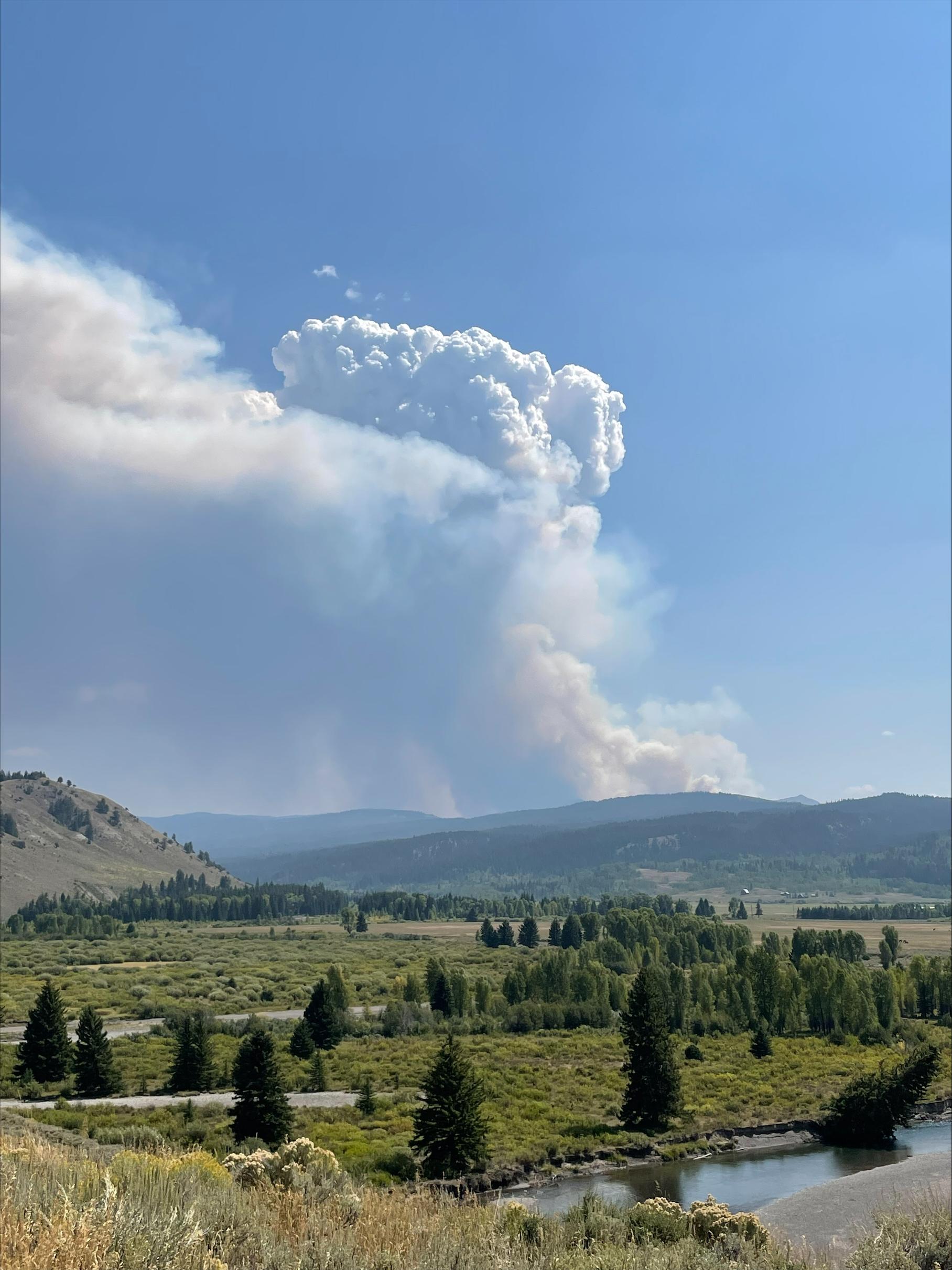 Smoke column 