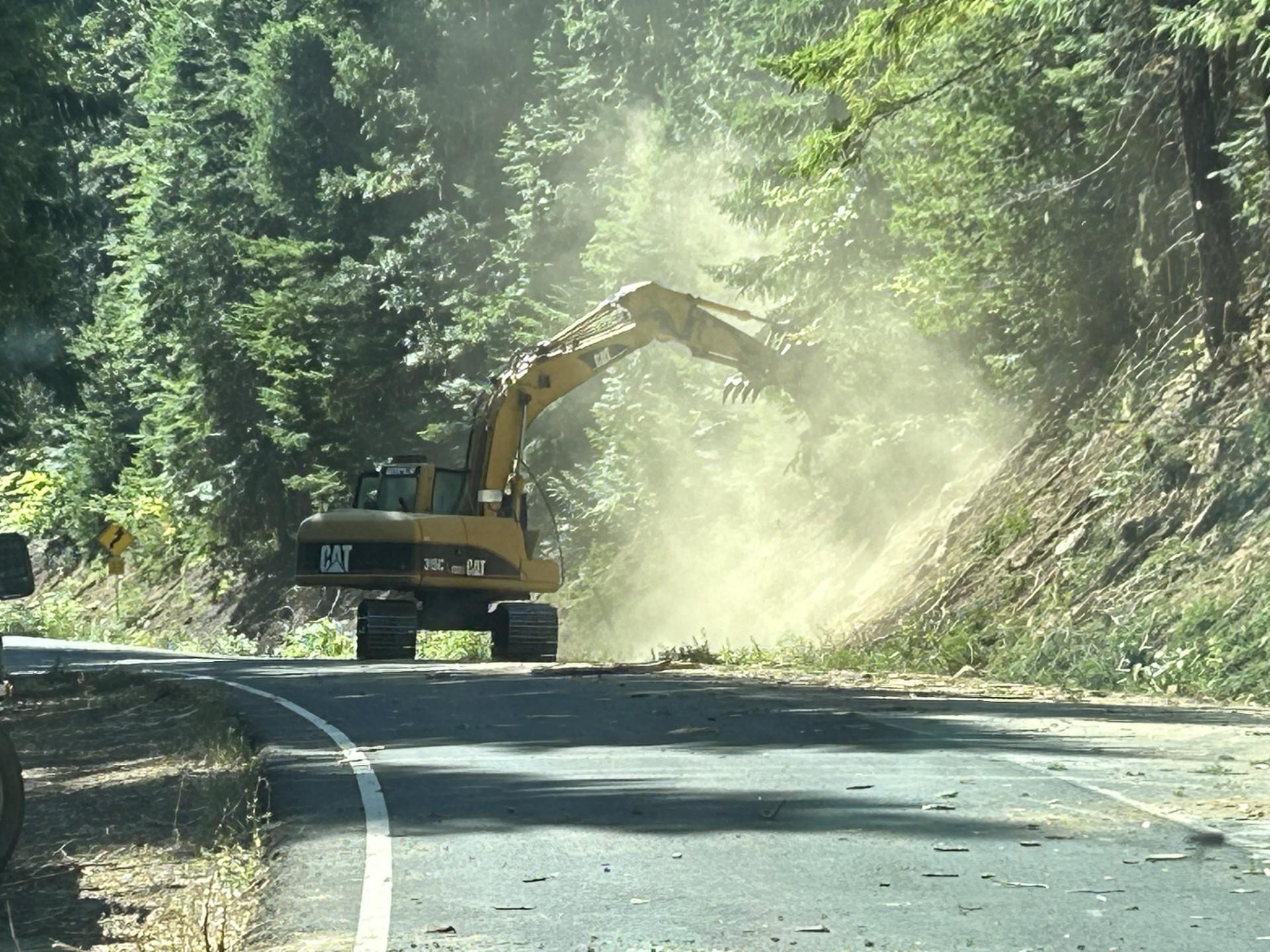 Masticator working along FS Rd 23, mulching brush and small trees and scattering the debris.