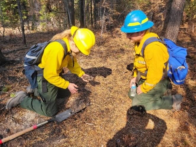 Image showing BAER Hydrologists Tracy Weddle and Connor Gallagher assess soil burn severity level within the Snag Fire perimeter