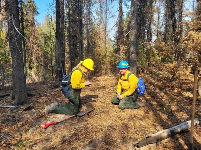 Image showing BAER Hydrologists Tracy Weddle and Connor Gallagher assess soil burn severity level within the Snag Fire perimeter