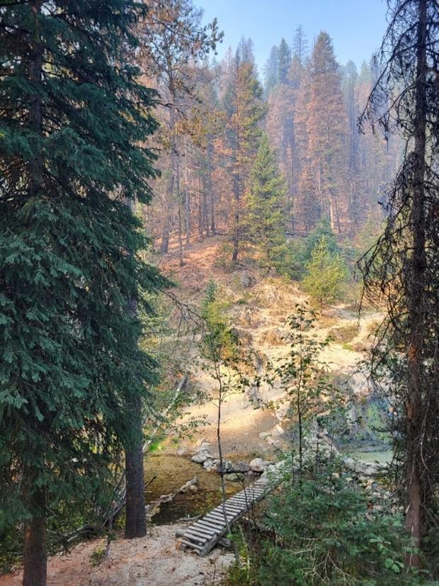 Image showing 02 Trail Creek Hot Springs within the Snag Fire burn area