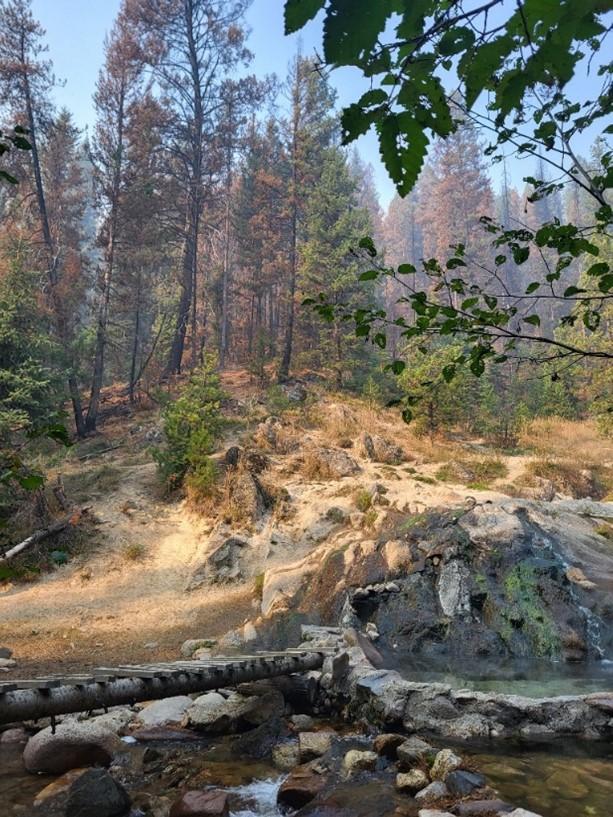 Image showing 02 Trail Creek Hot Springs within the Snag Fire burn area