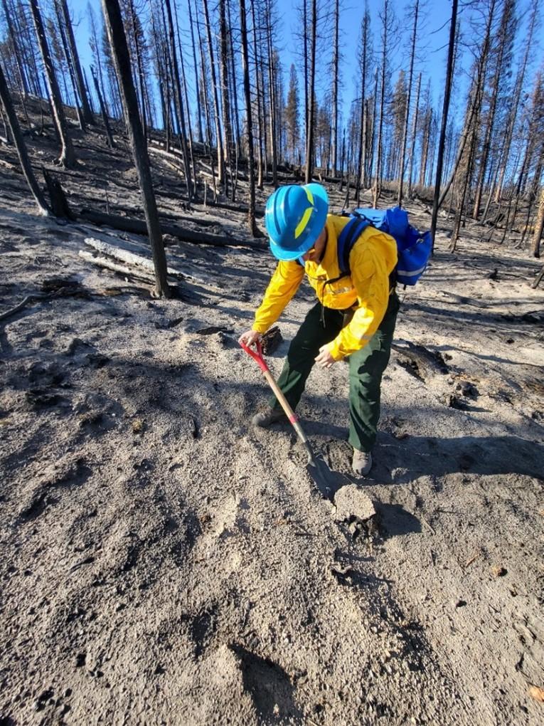 Image showing Burn area within the Snag Fire perimeter having a validation assessment of moderate to high soil burn severity