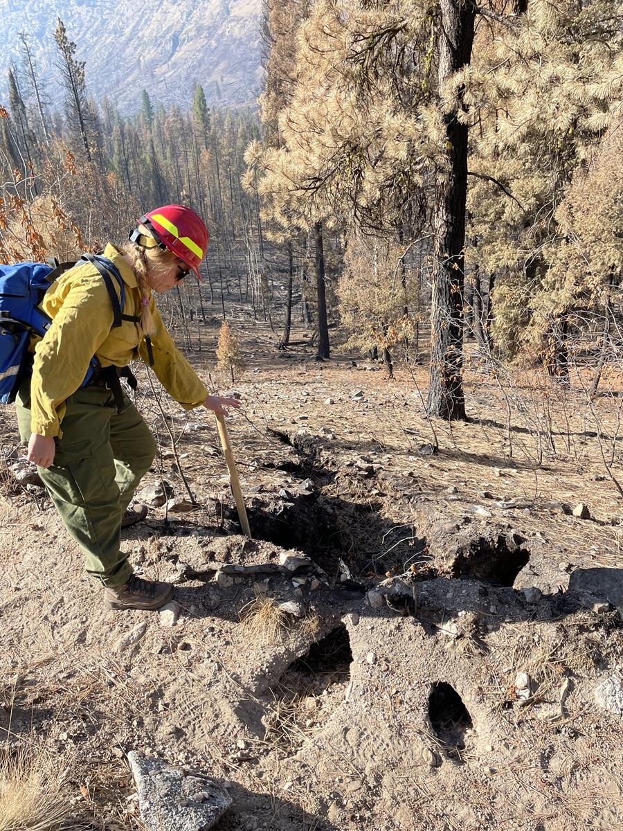 BAER specialist viewing burned out hole in ground