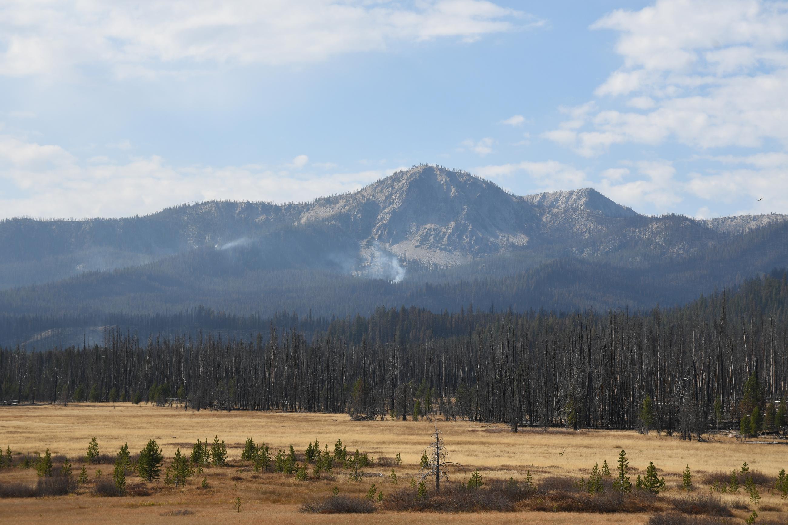 Smoke on the Wapiti Fire near the Swamp Creek area, October 4, 2024