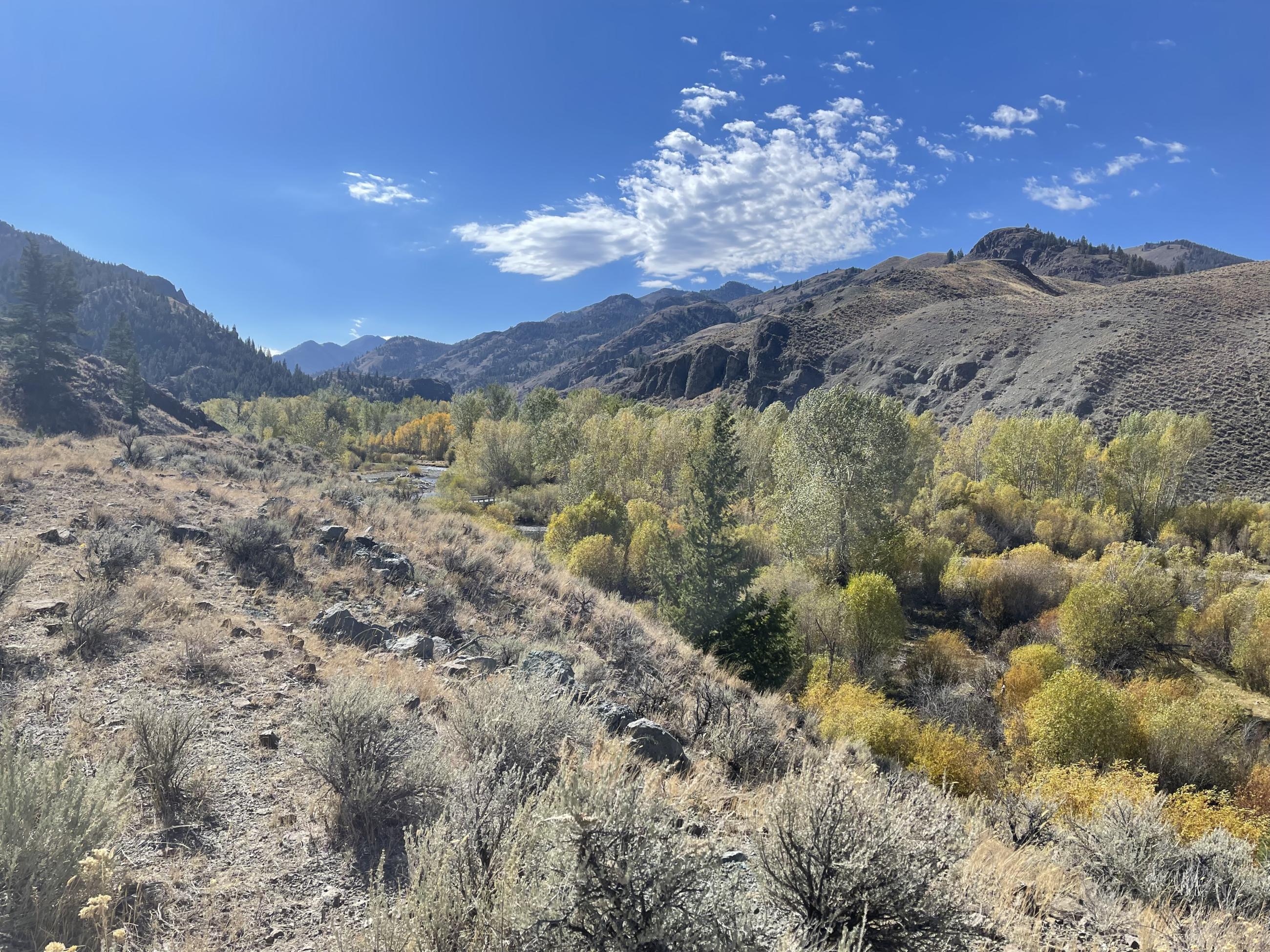 Little Boulder Creek, October 4