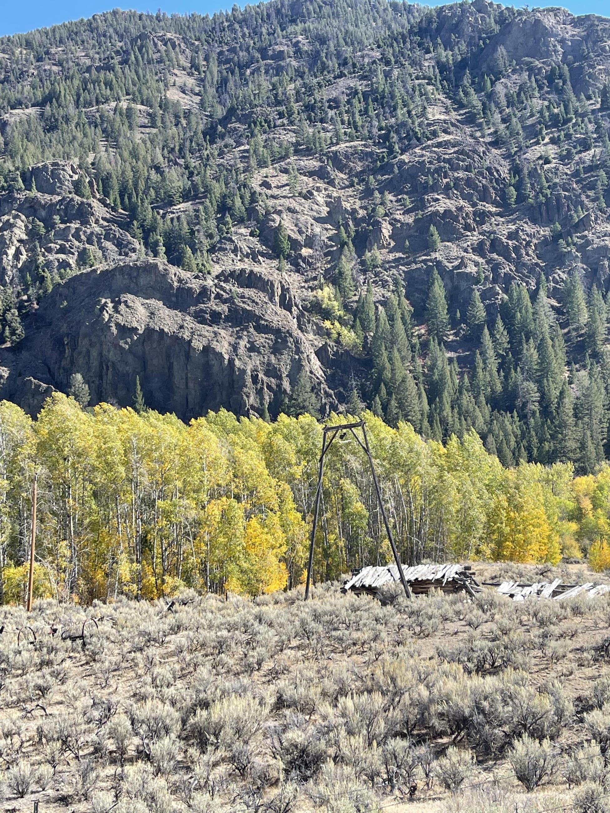 Fall colors along Little Boulder Creek, October 4