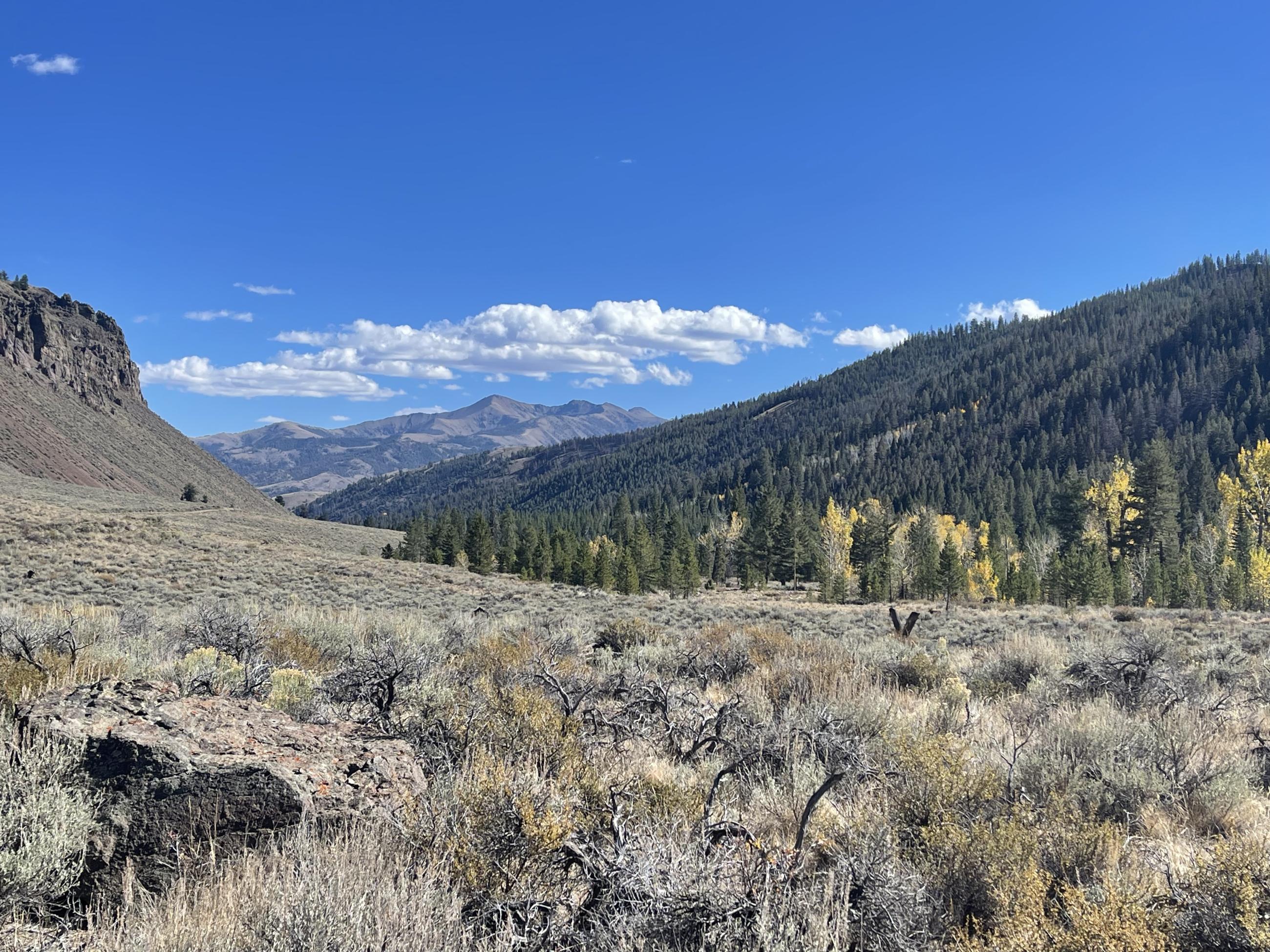 Big Boulder drainage, October 6