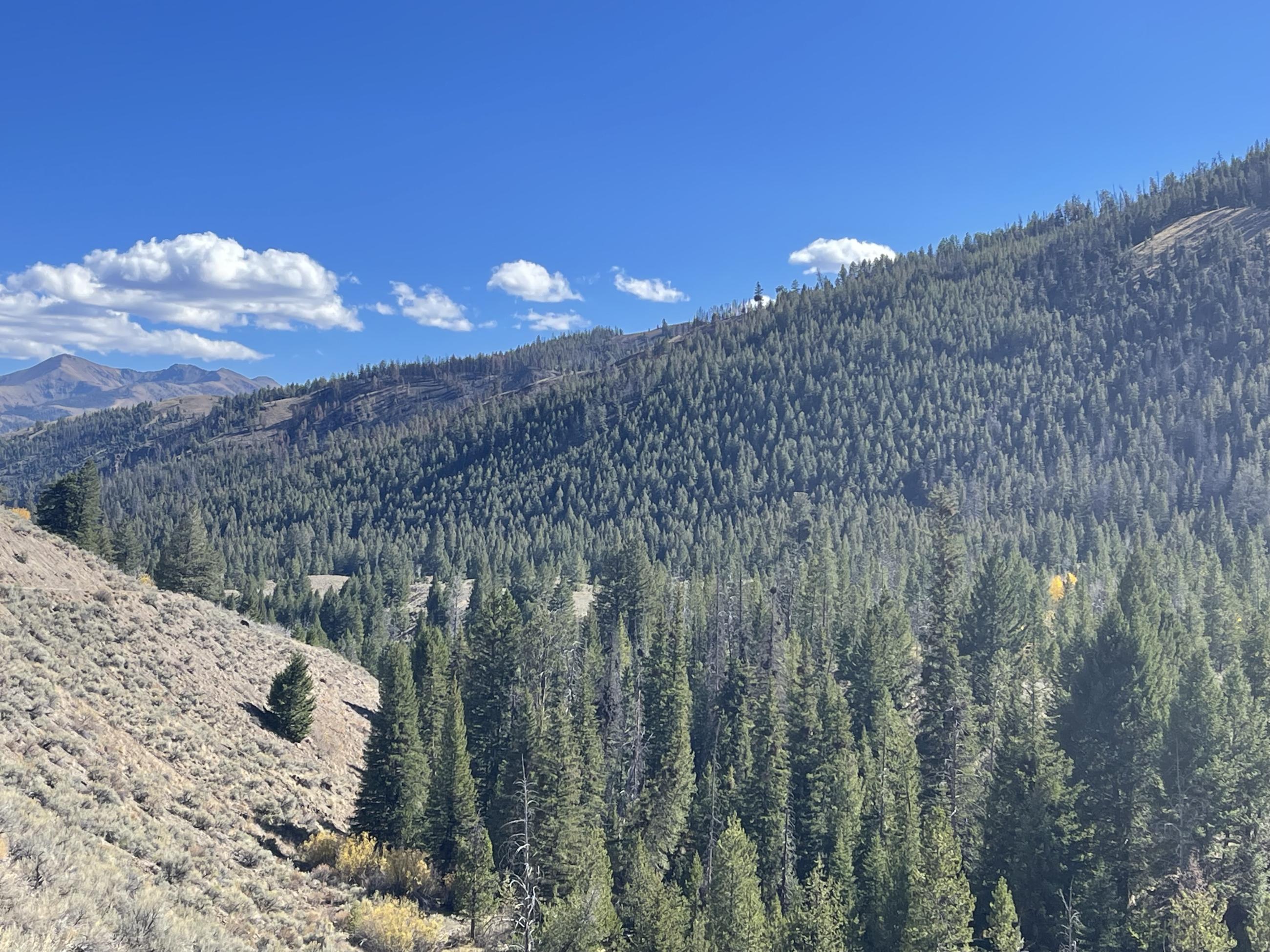 Big Boulder Creek, October 6