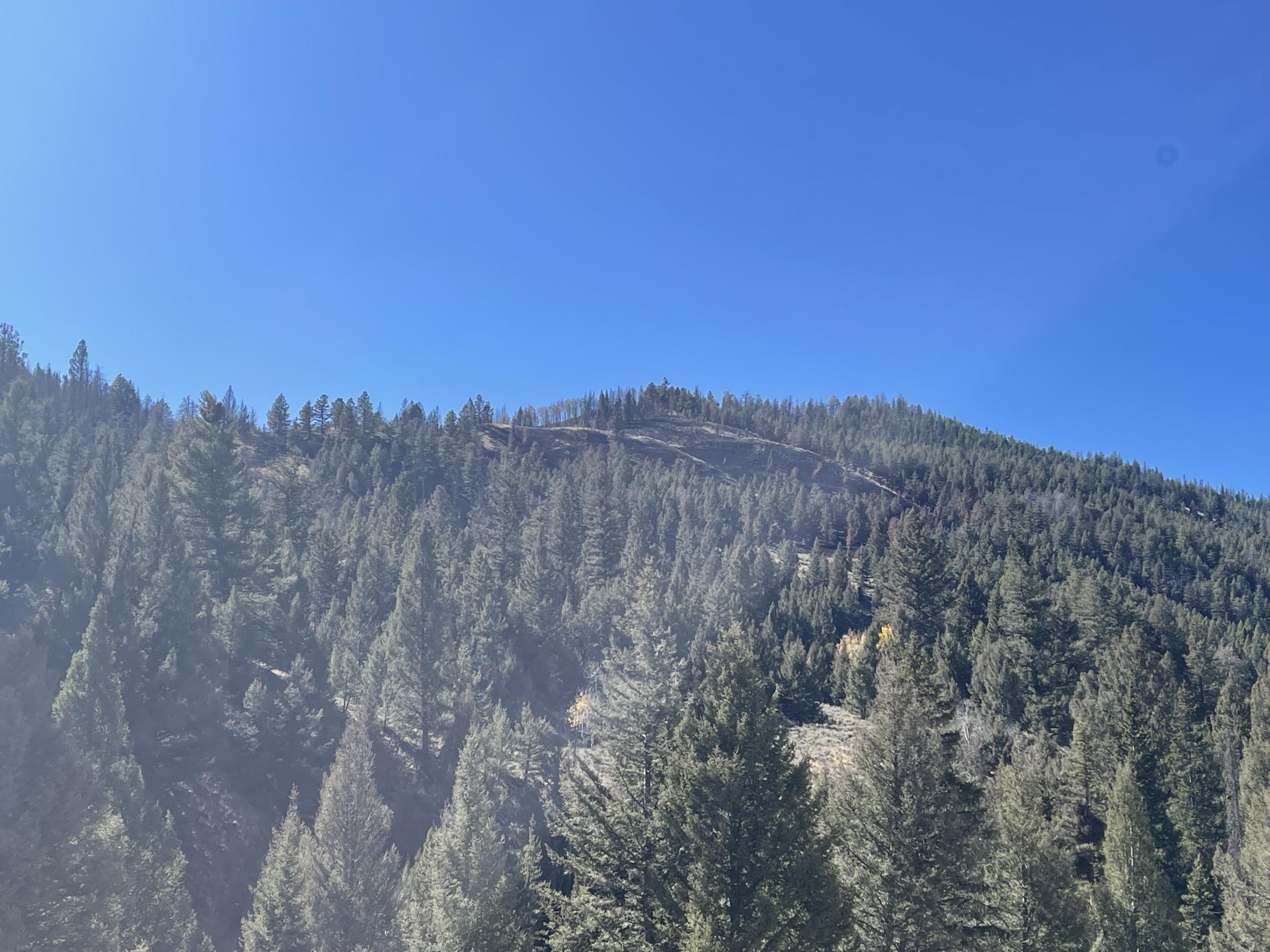 Ridge in Big Boulder Creek, October 6