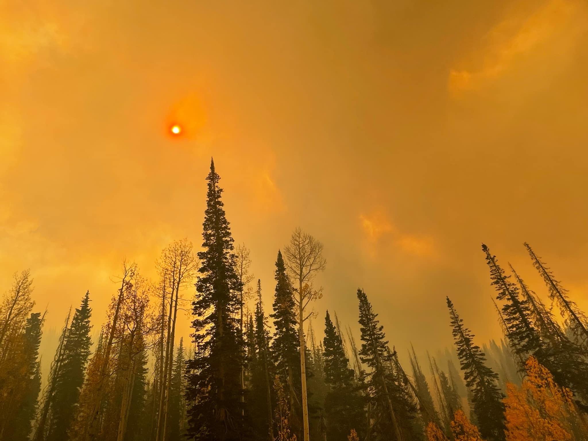 Sun through Yellow Lake Fire Smoke