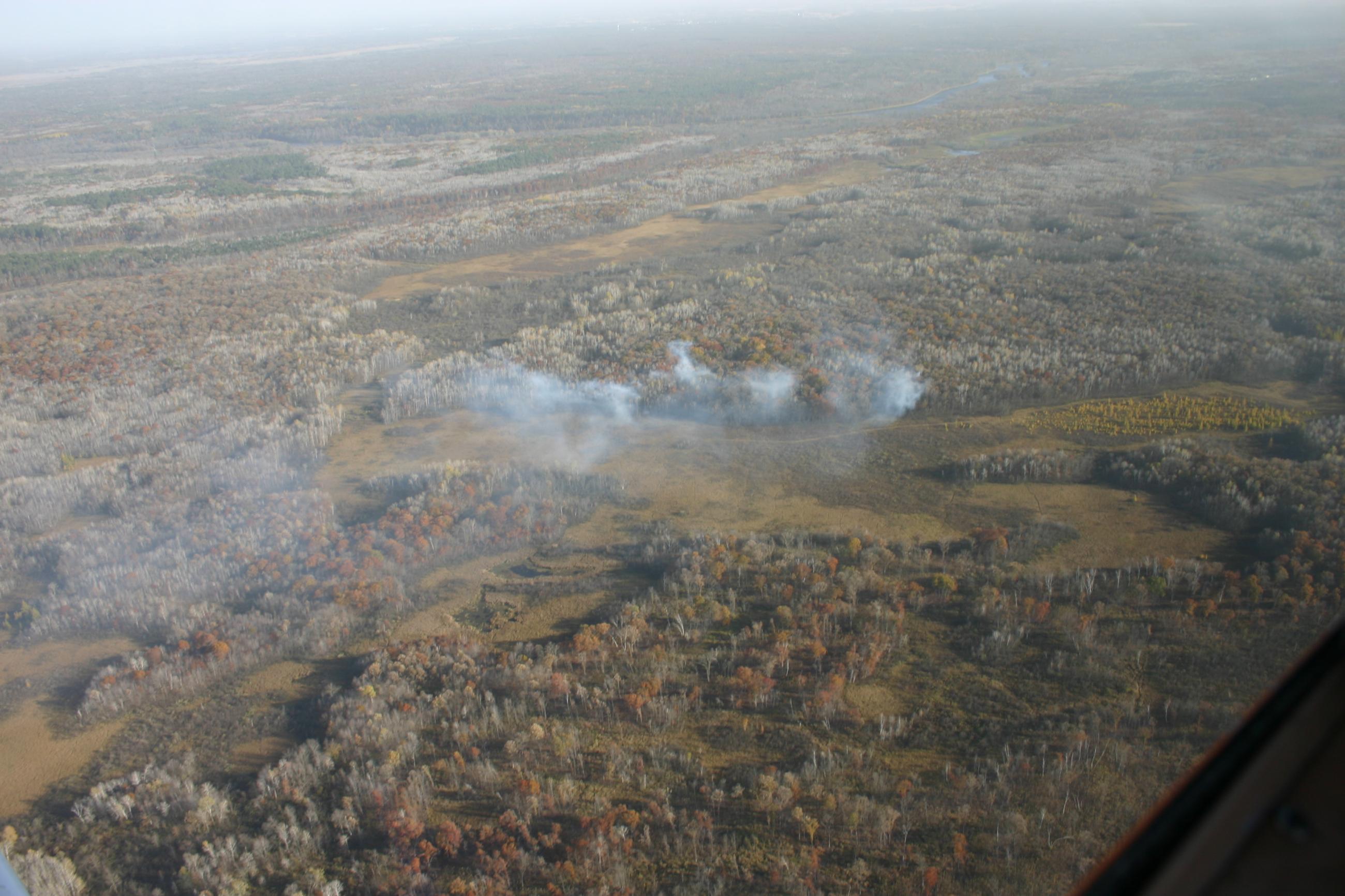 Aerial view of wildfire smoke over a forest. 