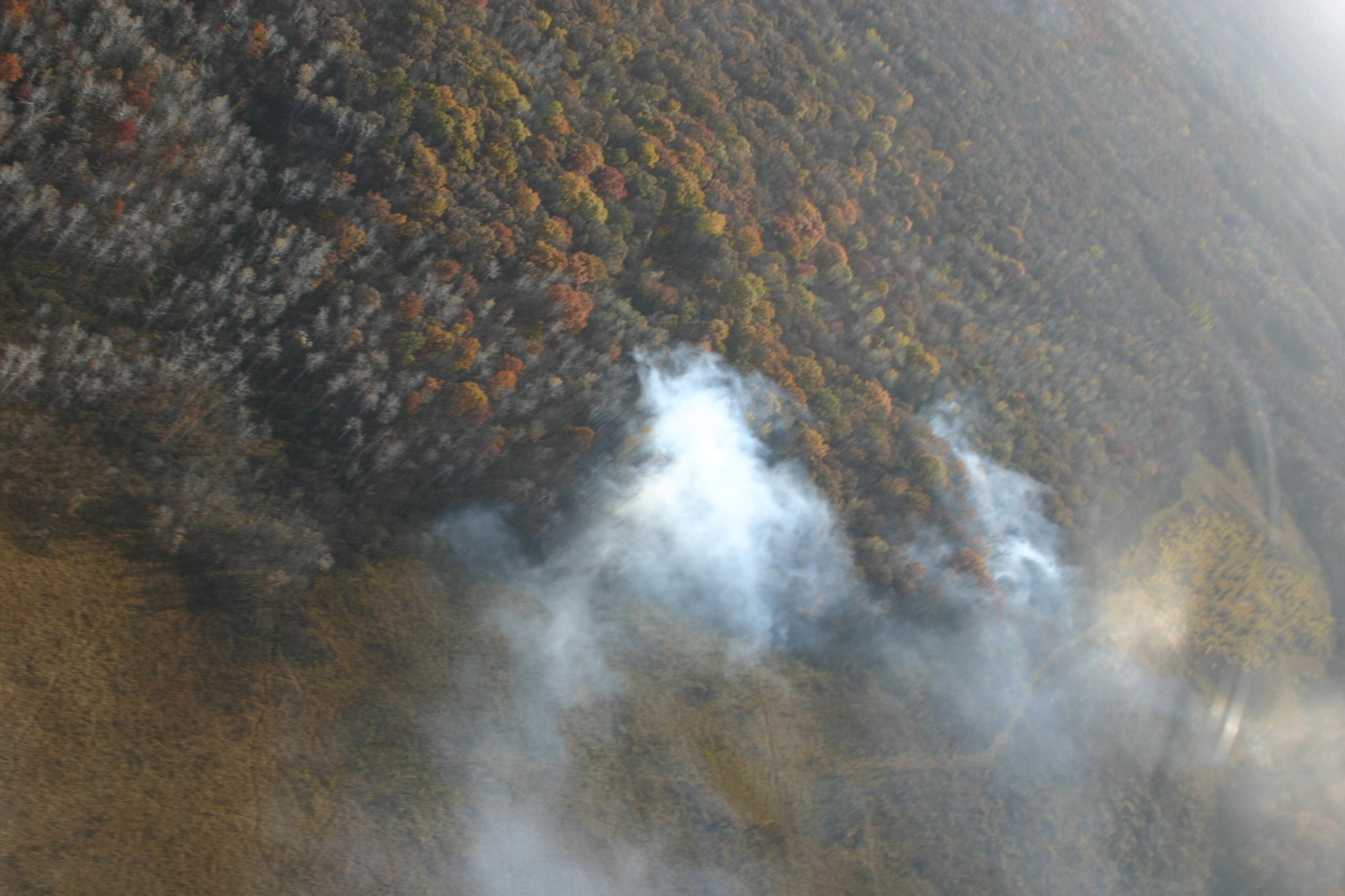 Aerial view of smoke rising from a fall forest 