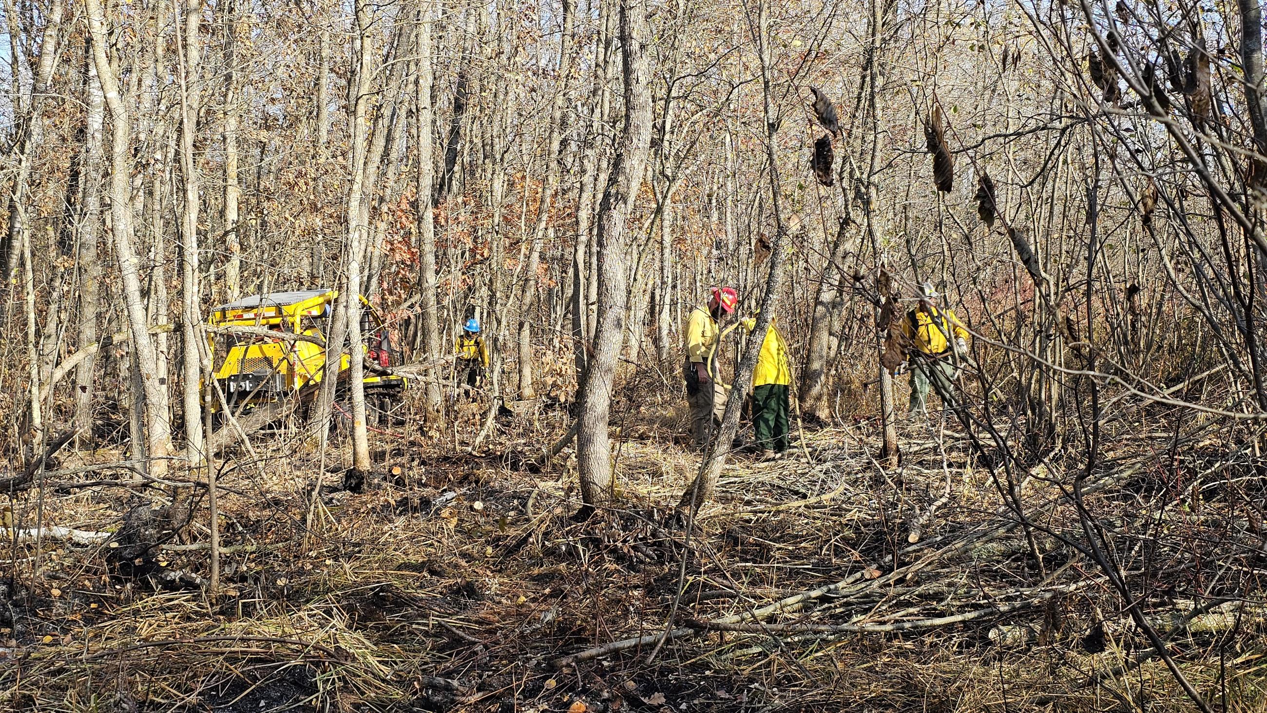 A group of firefighters in yellow in a fire area. 