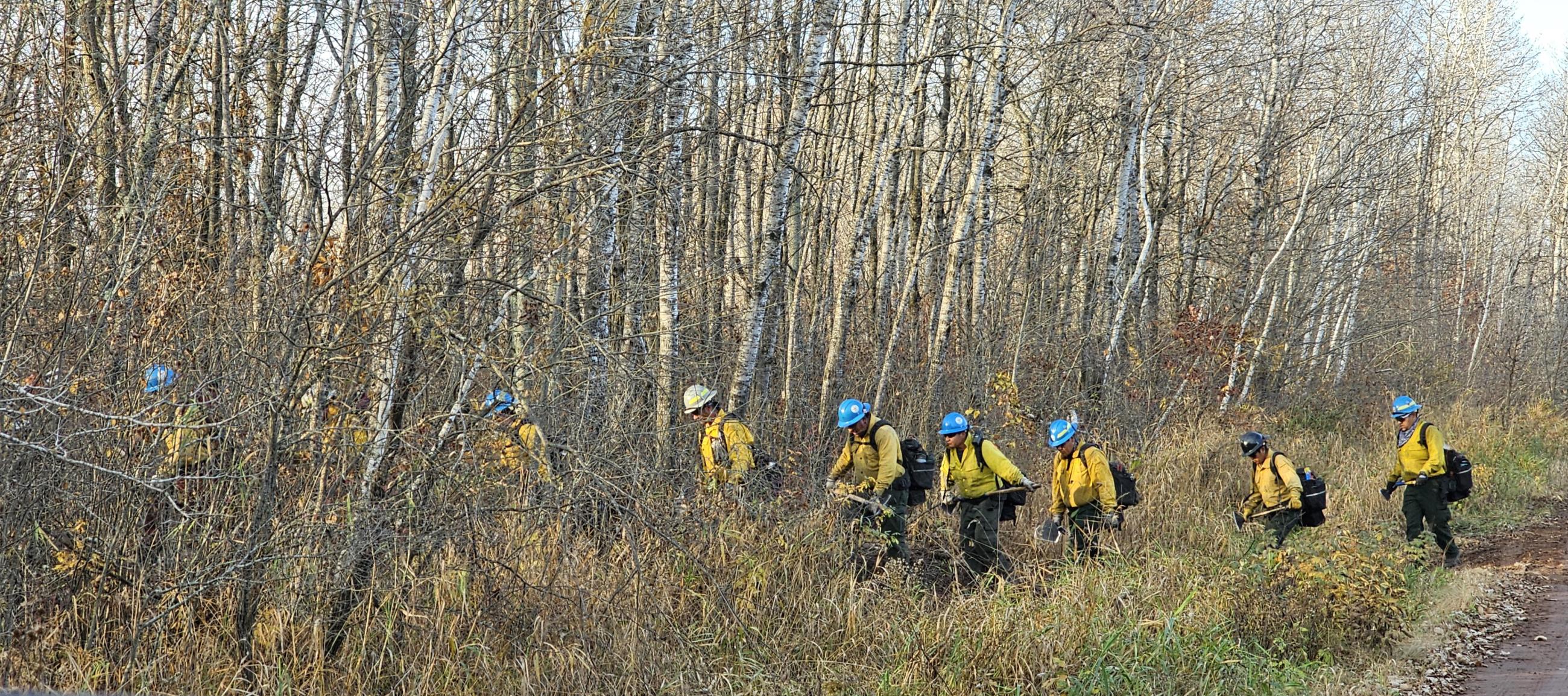 Firefighters walking into the forest from a road. 