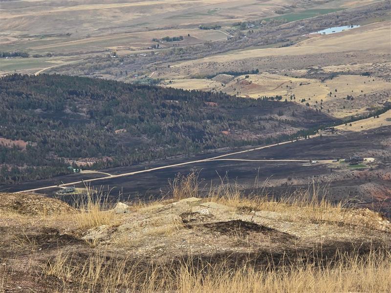 burned grass and trees ween in the distance, Oct 23