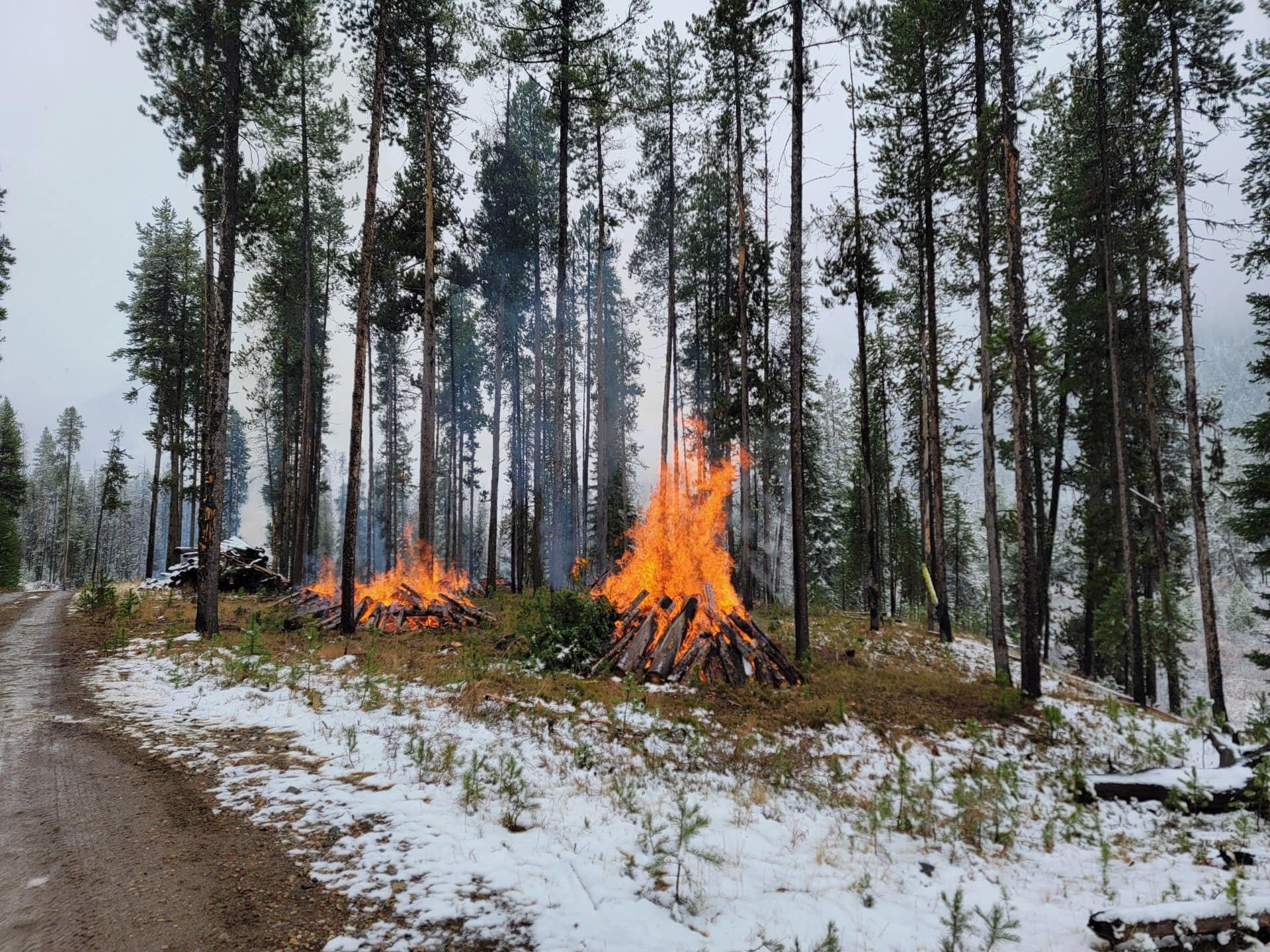 Burning piles from fallen trees within the fire perimeter.