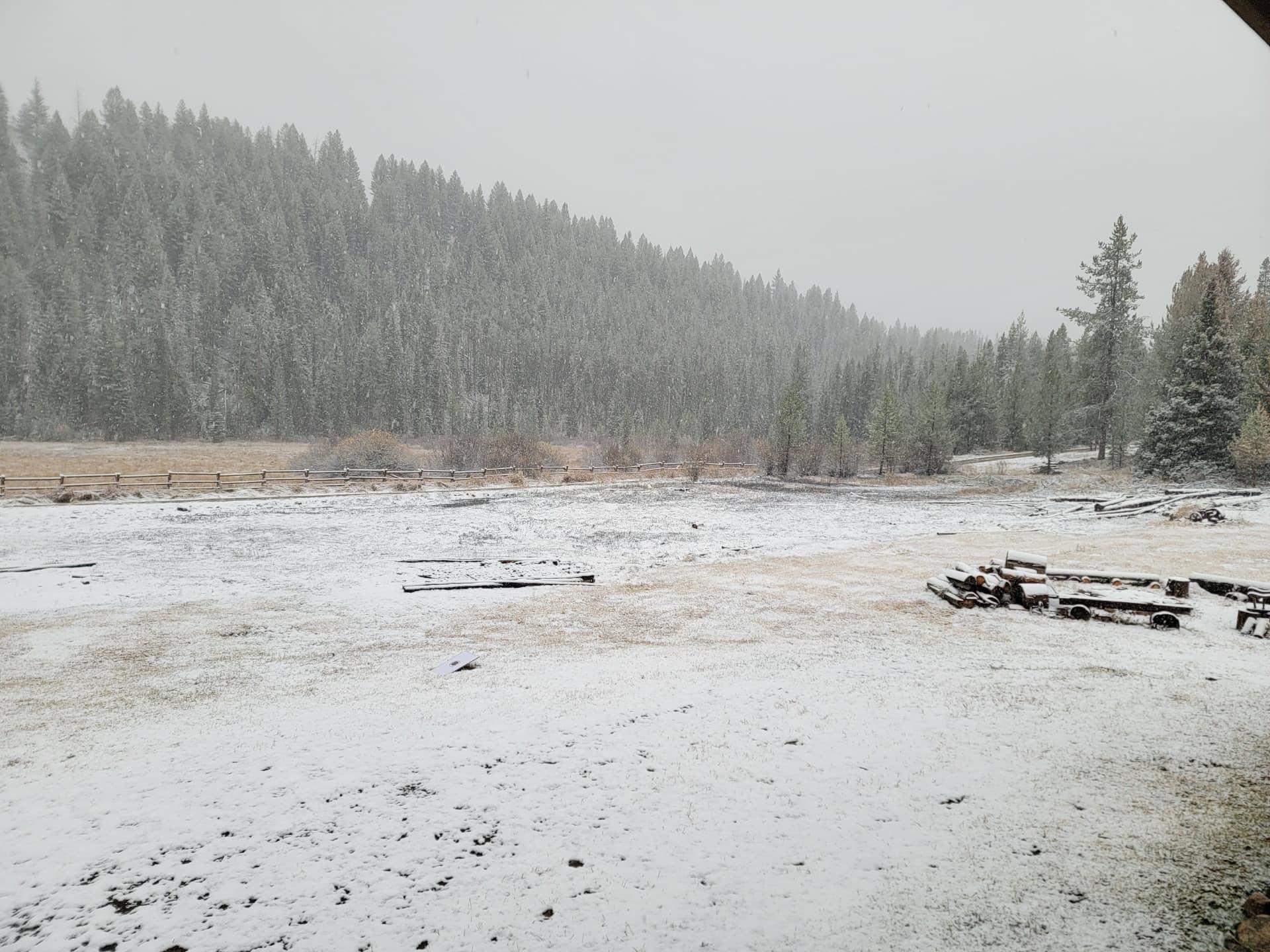 SNOW on the Logan Fire