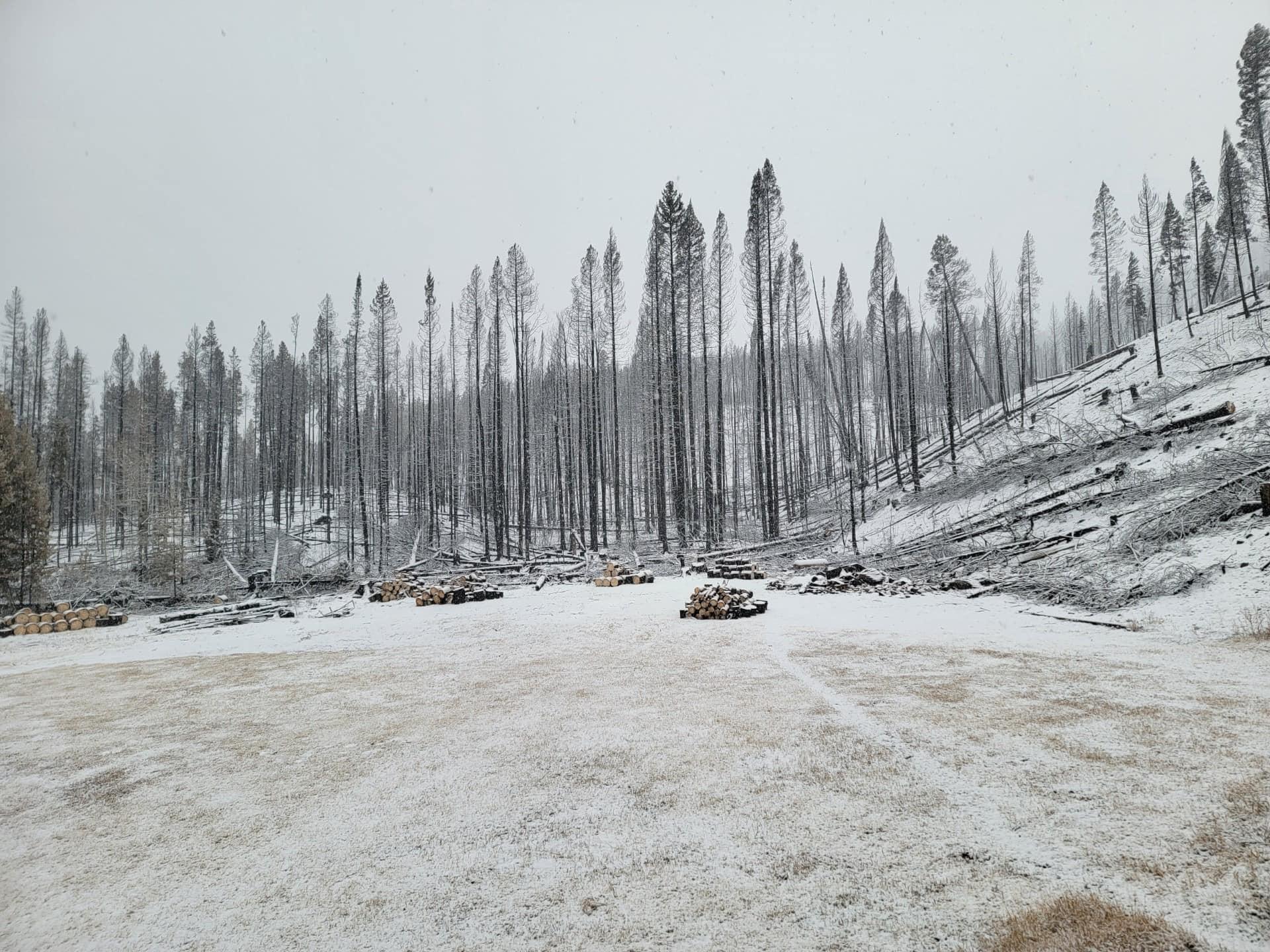 Snow covers the ground over the fire area.