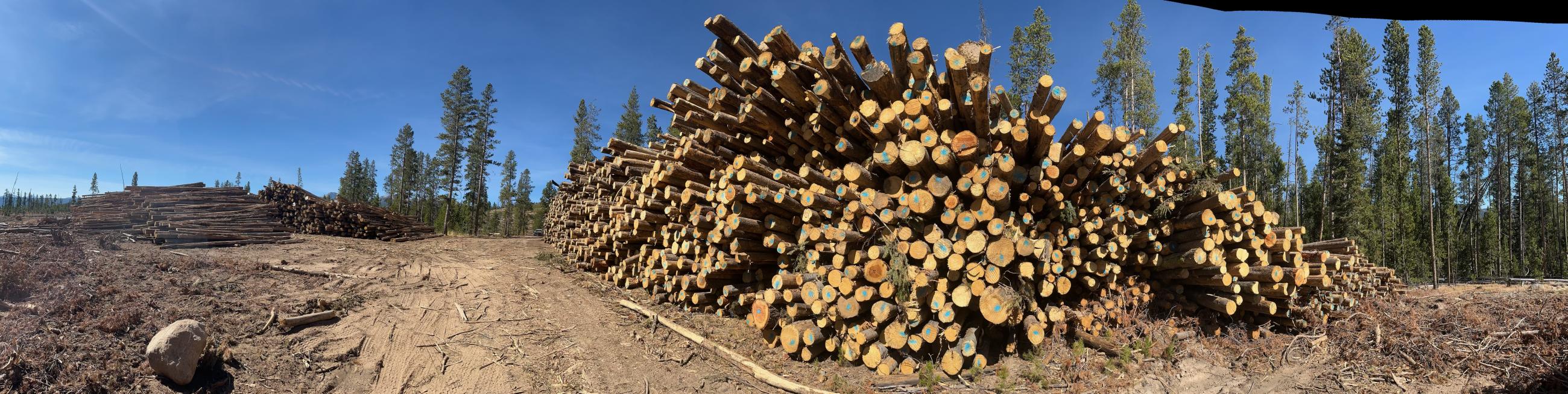 panoramic photo showing log decks from the Wapiti Fire area