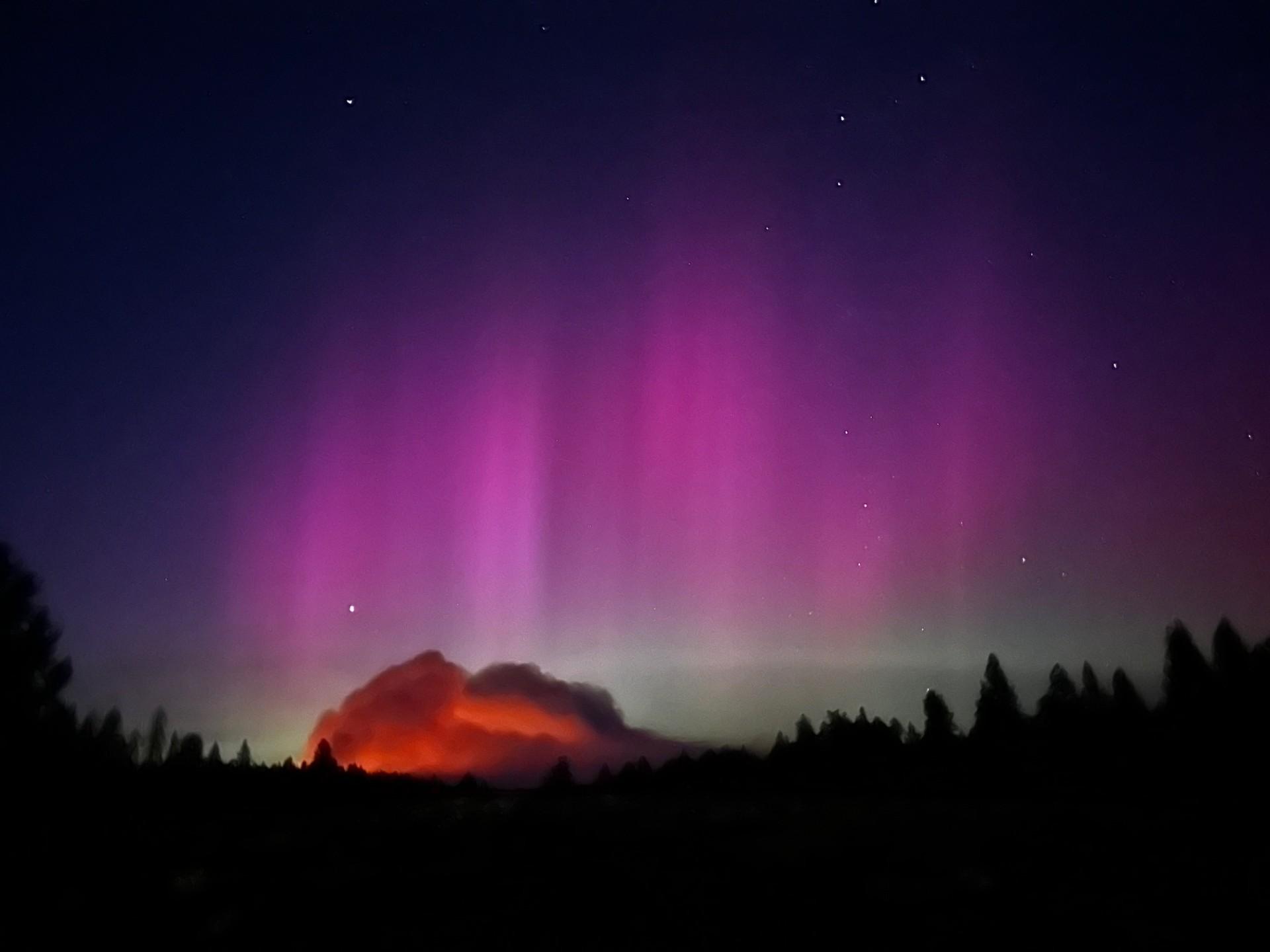 Ponderosa Pines are silhouetted by Aurora Borealis and a smoke column from the Rail Ridge Fire