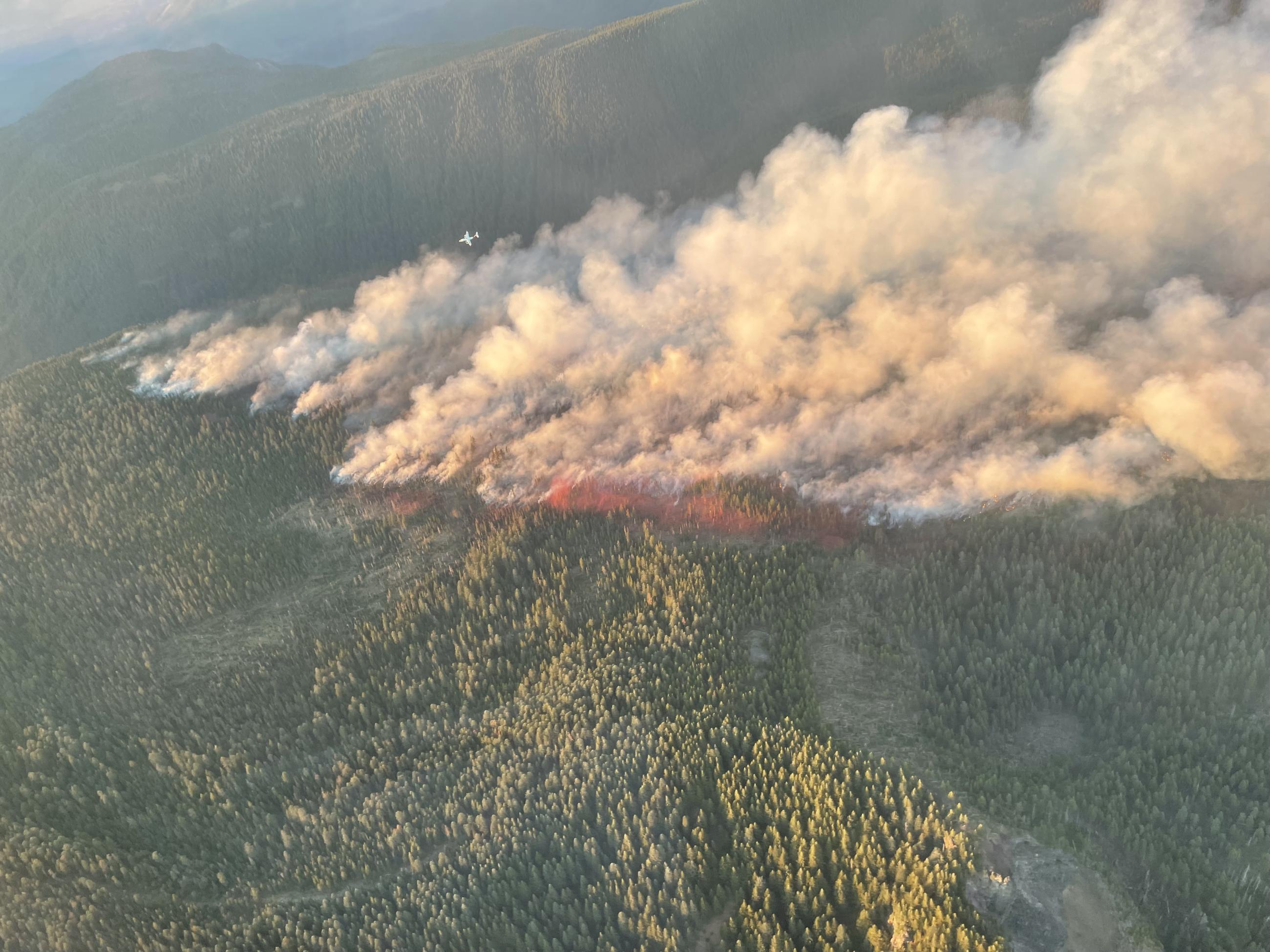 Aerial view of fire 