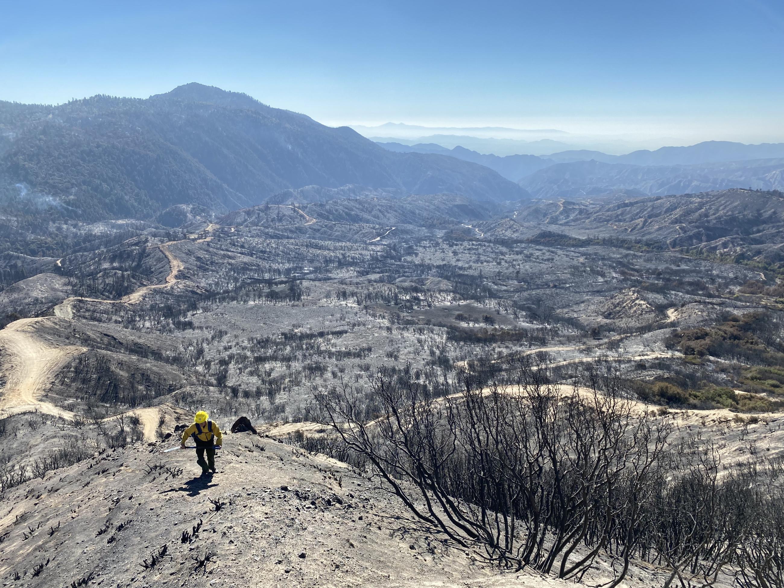 Image showing a BAER Specialist Assessing Phase 2 Line Post-Fire Burn Area