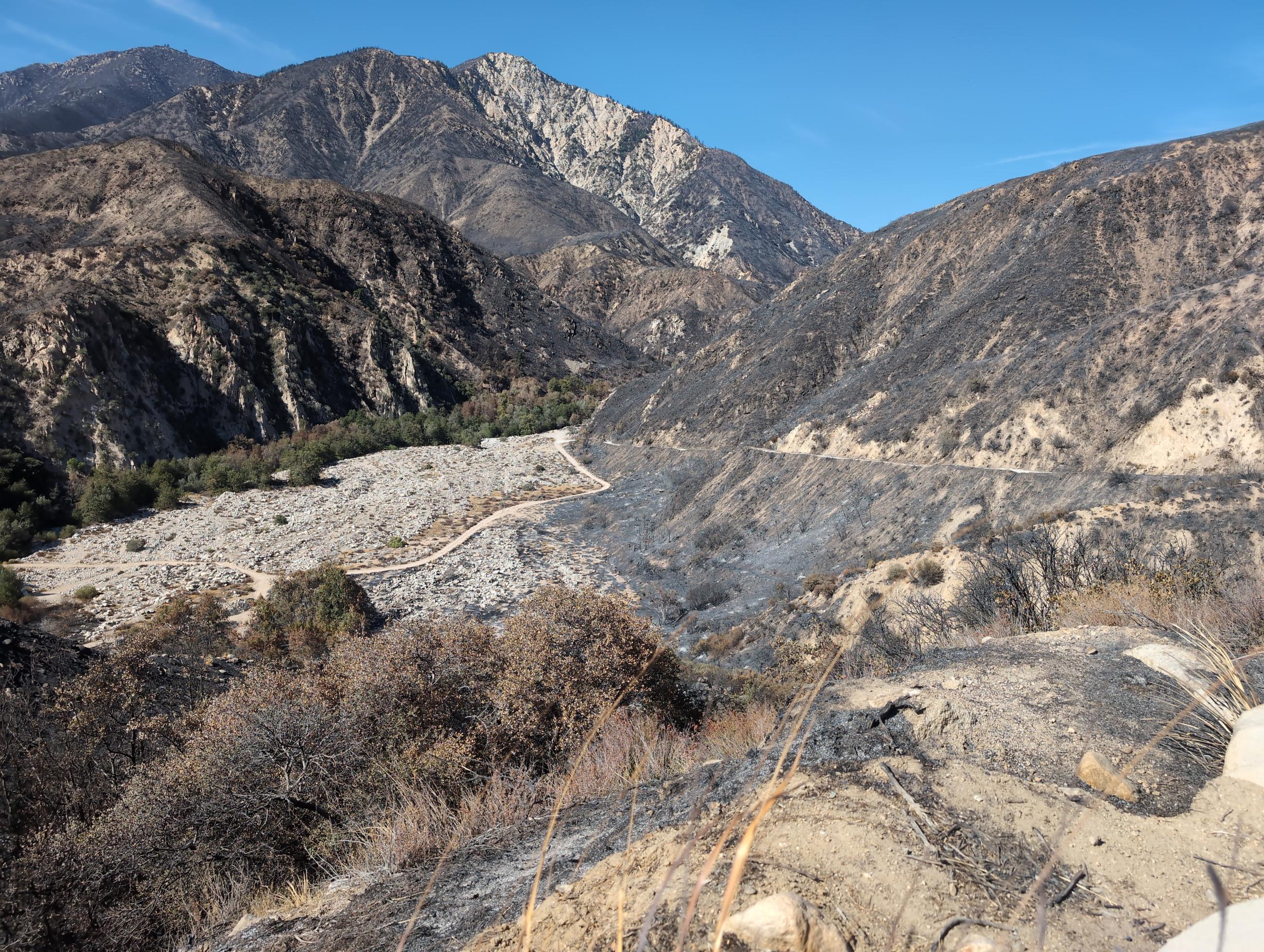 Image showing Bear Creek above the Santa Ana River Confluence-Slide Peak is in View-Looking up Stream in Bear Creek within the Phase 2 of the Line Fire Perimeter