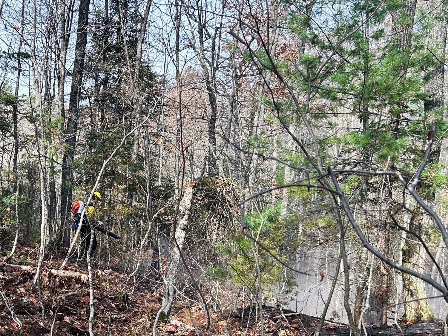 This image depicts a firefighter on the Summit Lake Fire constructing fireline in hardwood leaf litter using a backpack blower.