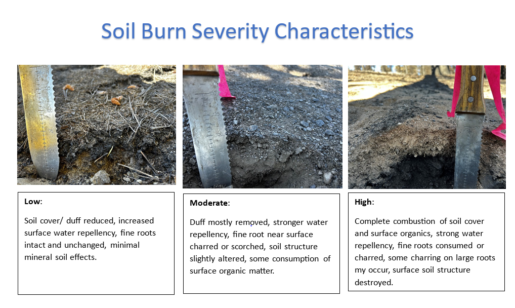 Image showing the three post-fire soil characteristics for the Bridge Fire