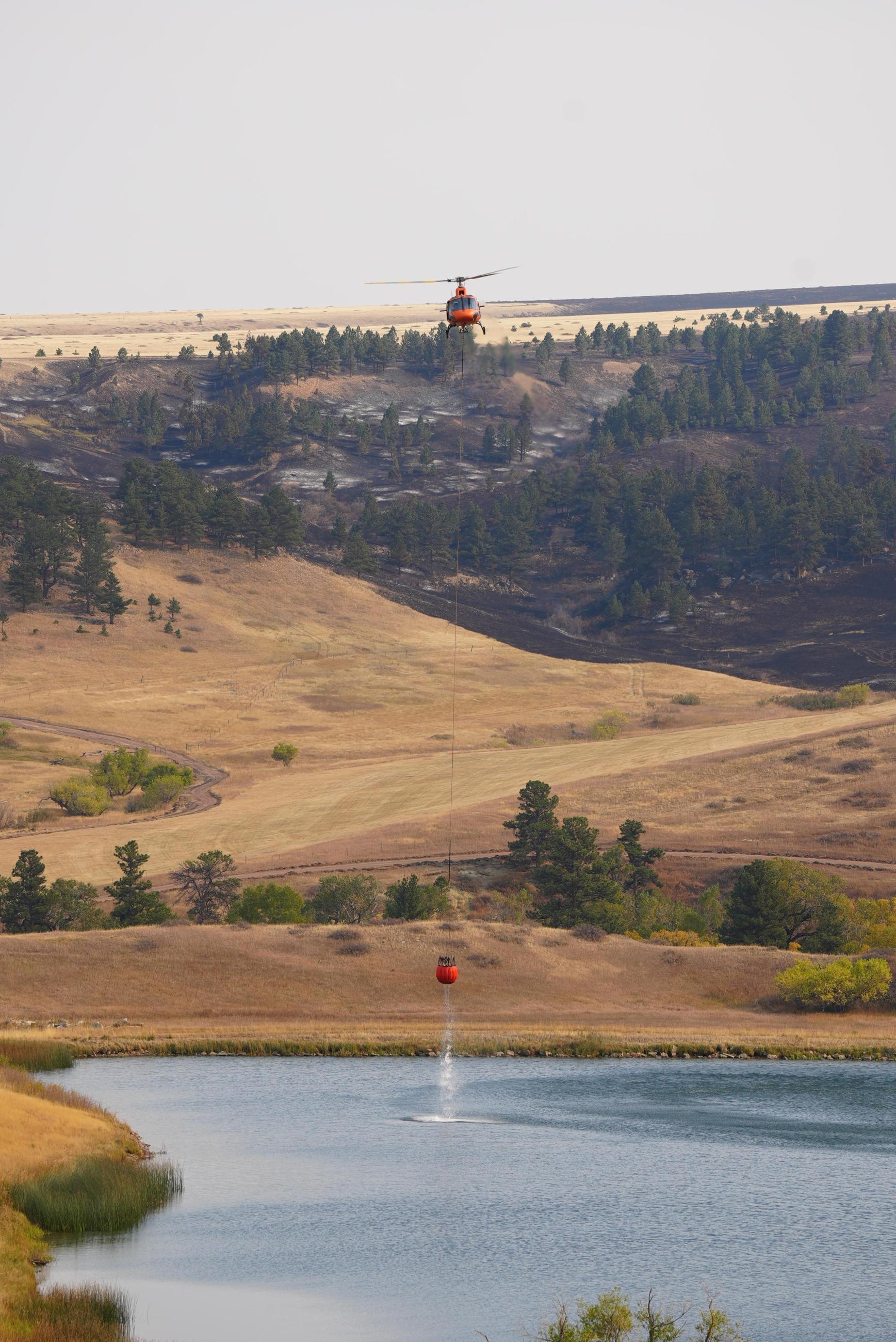 This image shows a helicopter flying over a pond, with a bucket attached to the bottom of it scooping water from the pond. There is a golden hillside in the background with burned timber behind the helicopter. 