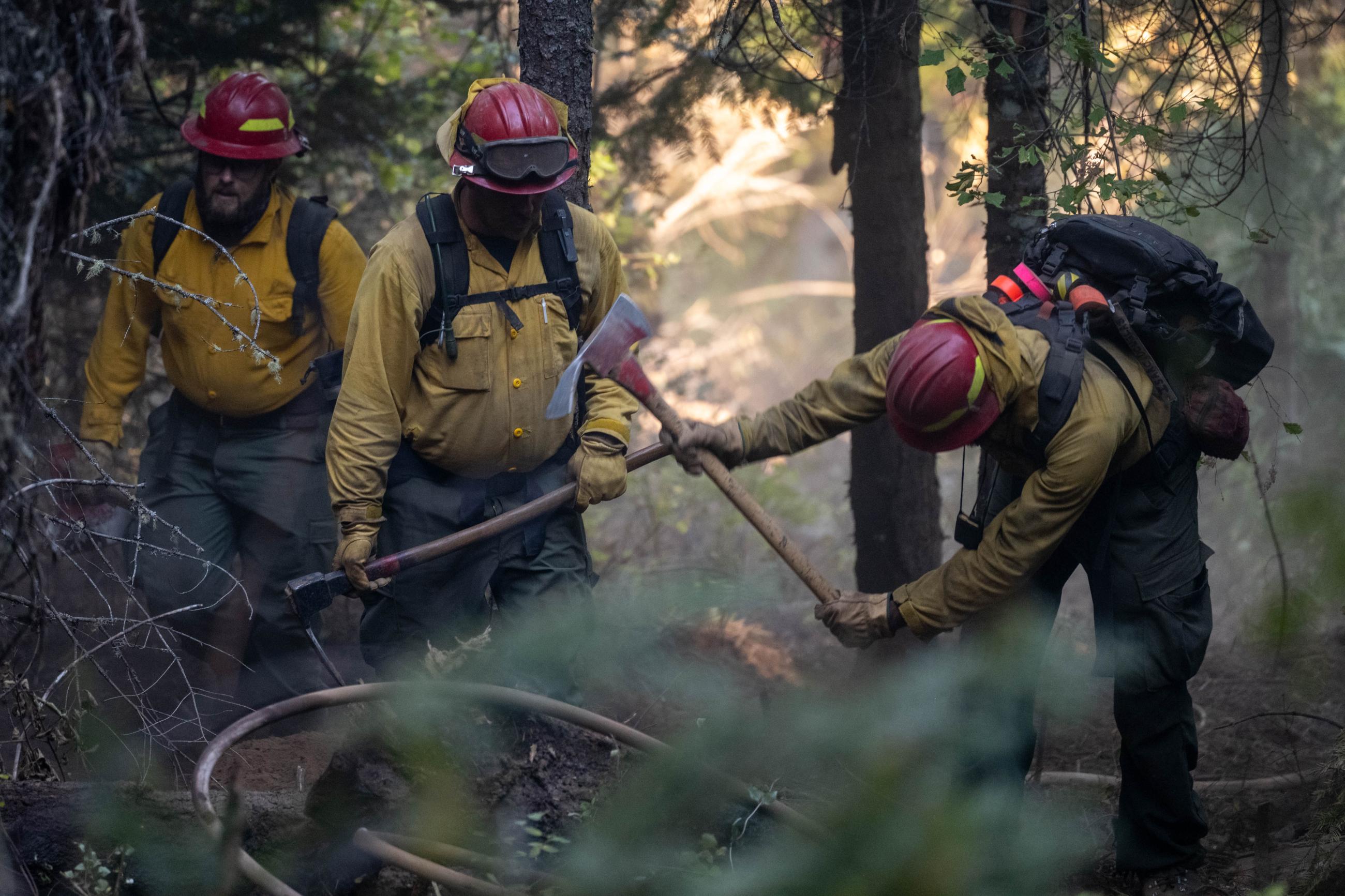 Three firefighters swing tools in dense forest