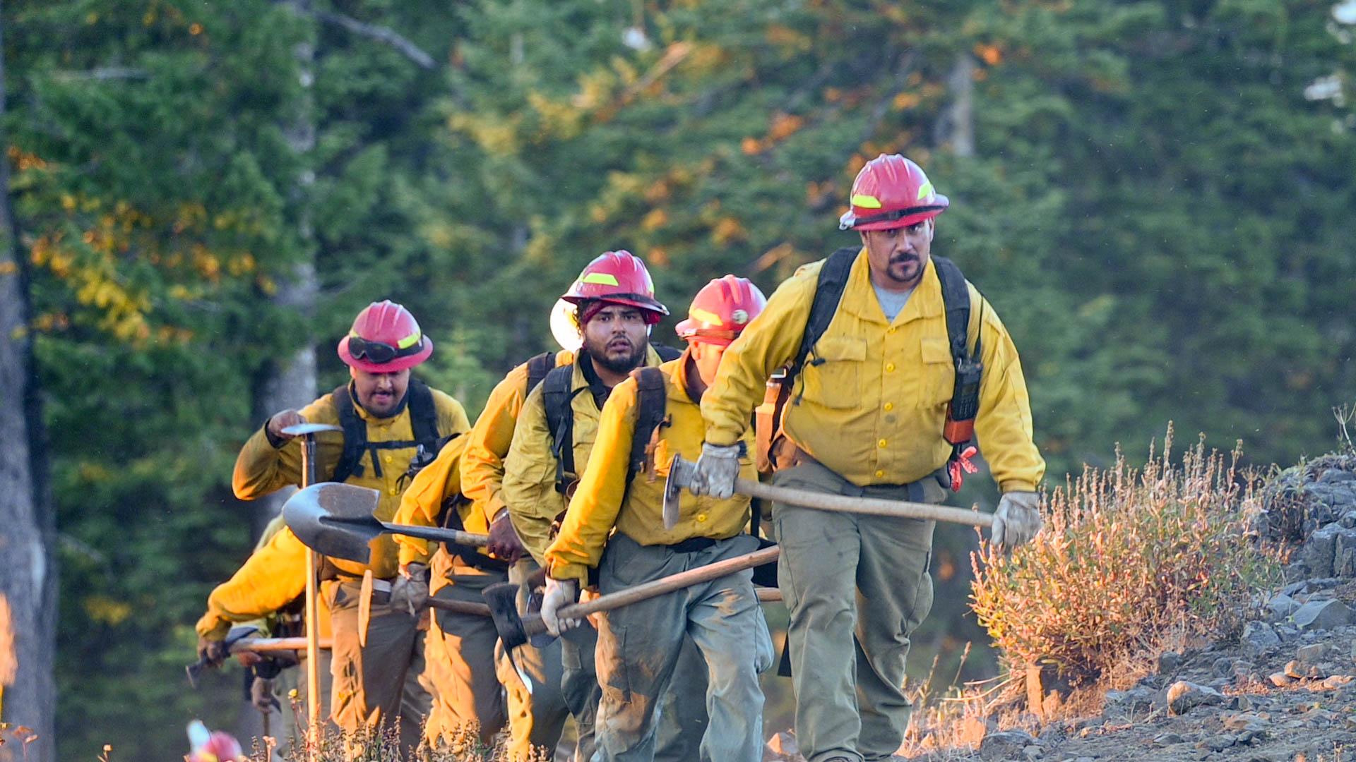 A line of firefighters carrying tools walk up a steep scrubby hill