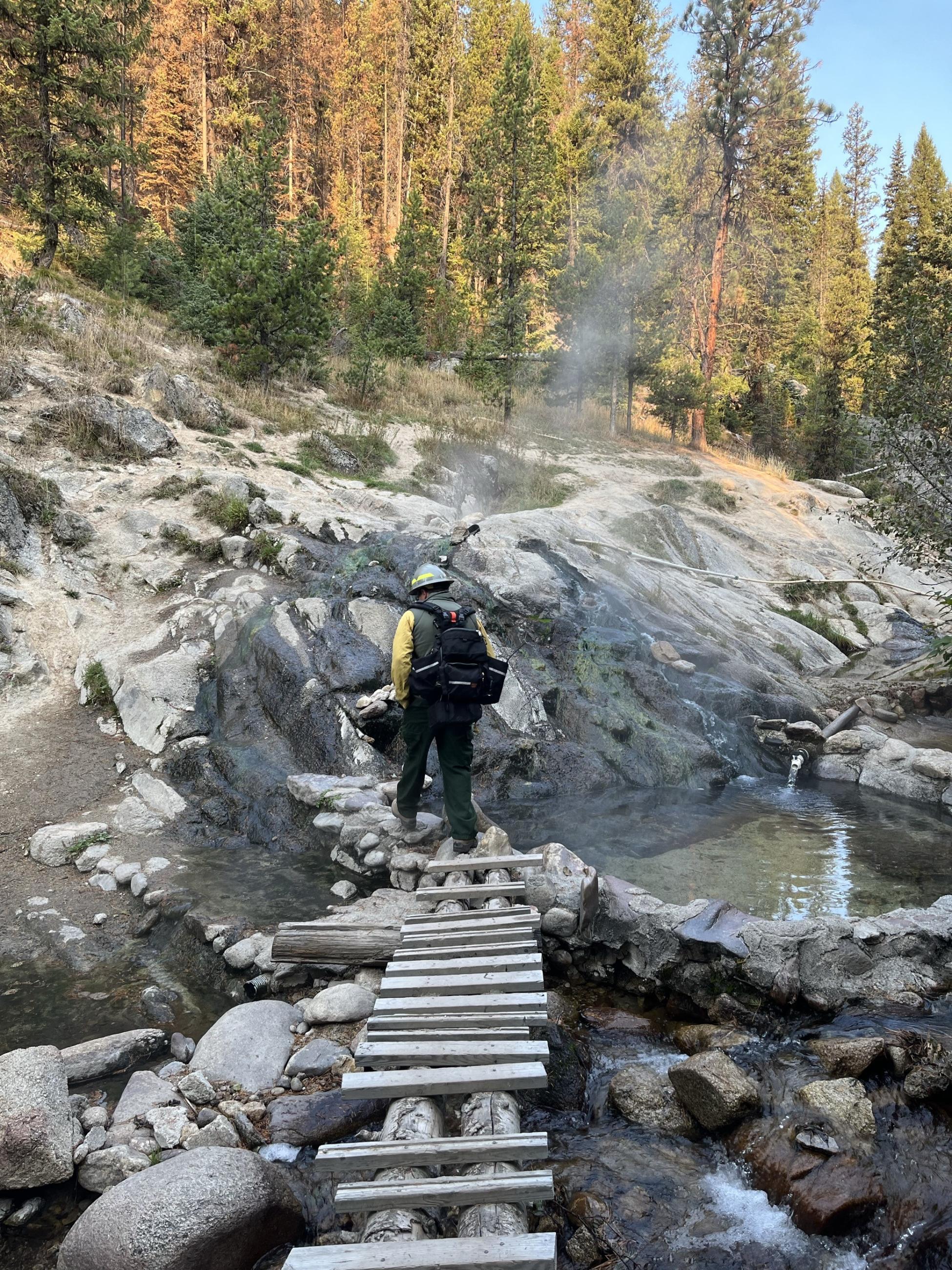 Image showing BAER Specialist Del Orme Assessing Hazard Trees at Trail Creet Hot Springs within Snag Burn Area