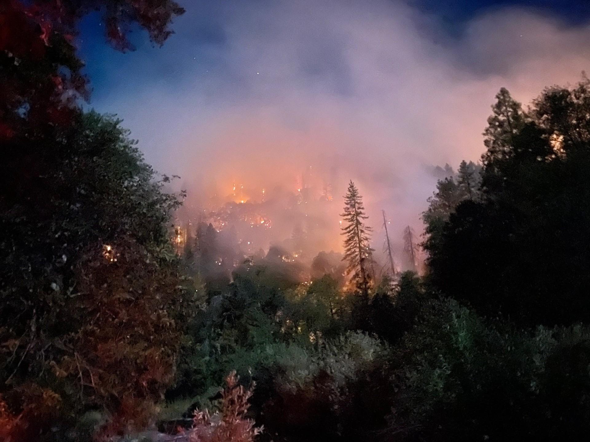 A hillside burns on the Shoe Fire, October 2024.