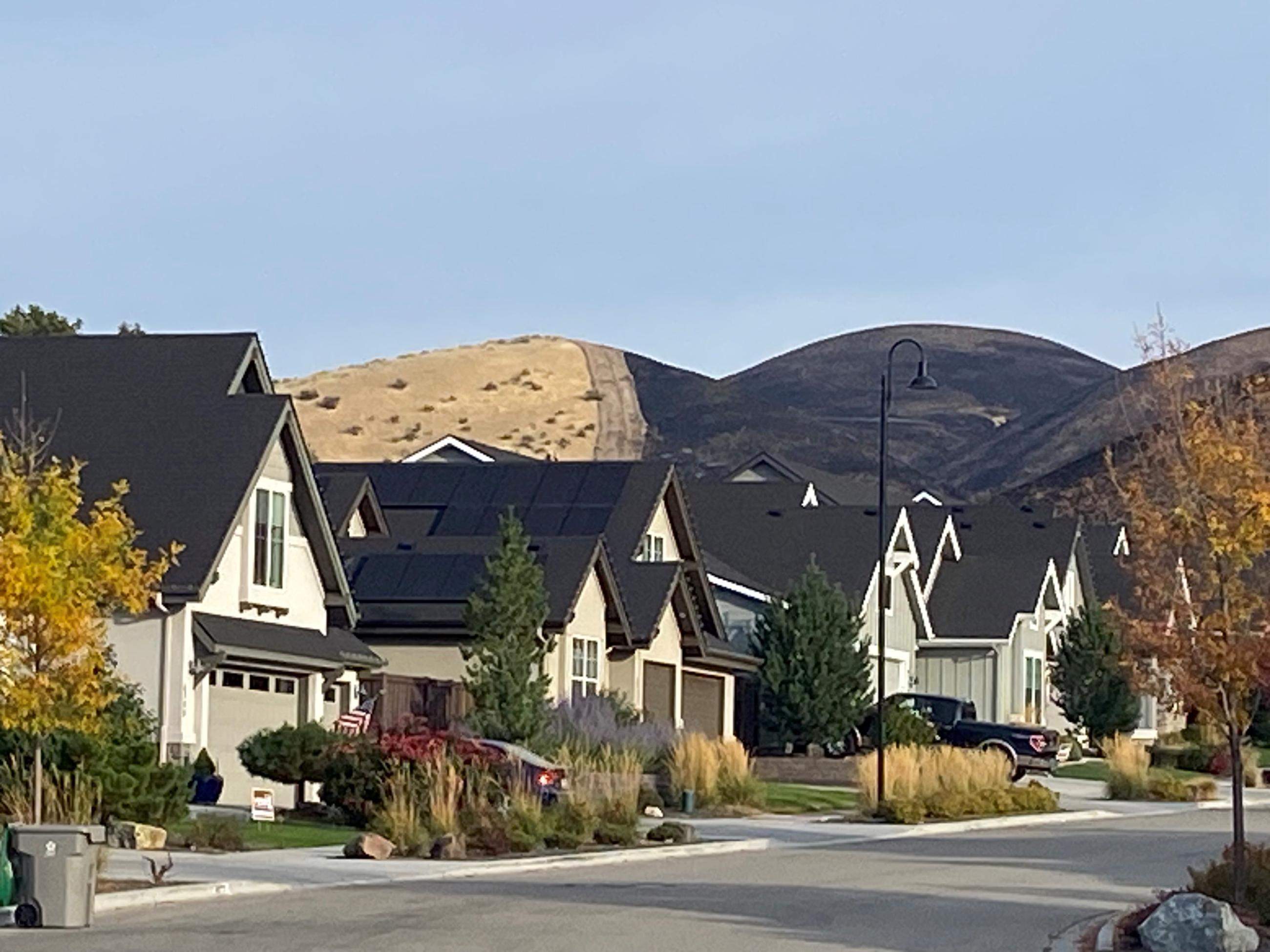 Dozer Line in Boise Foothills